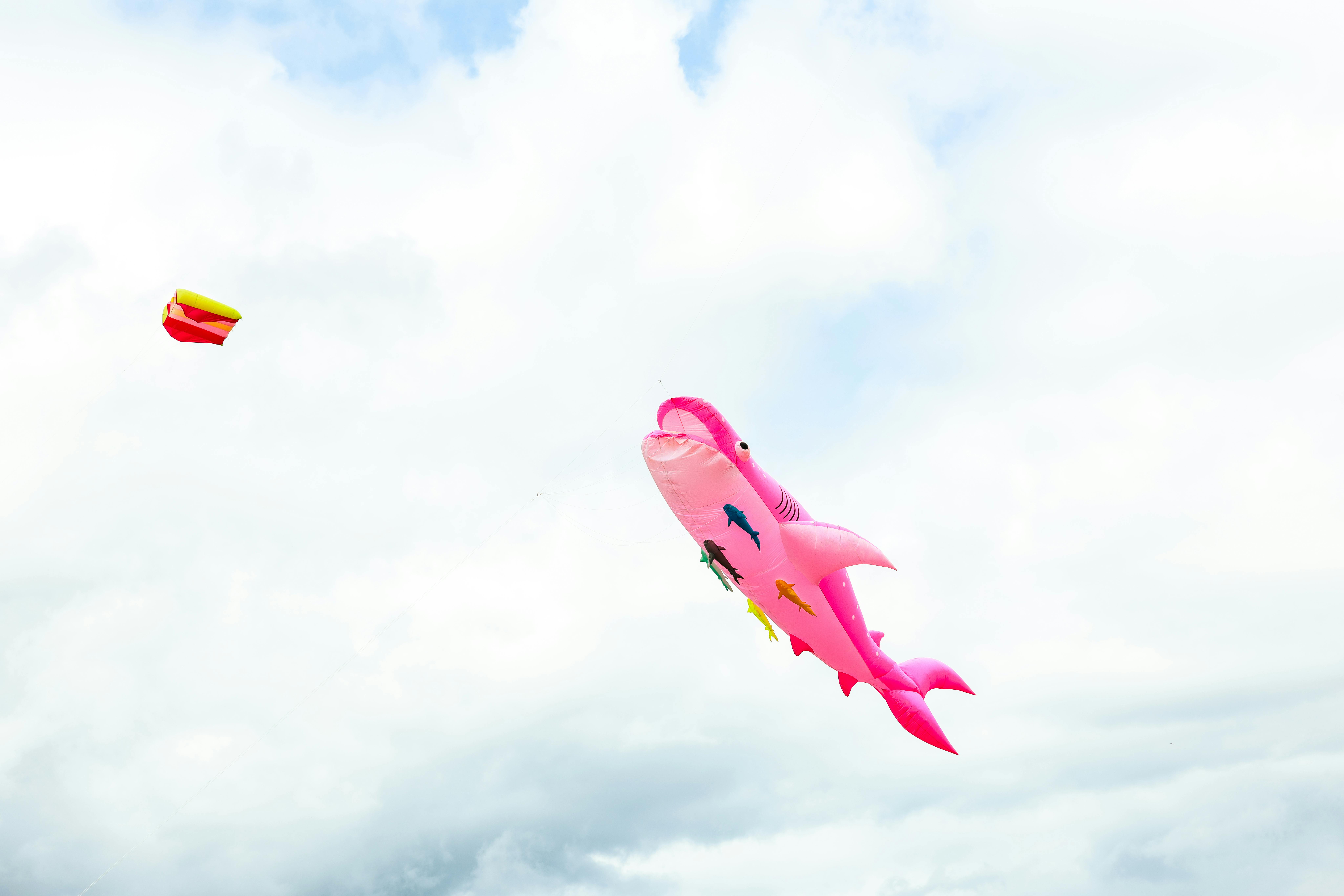 中秋連假新竹國際風箏節汽車禁入 餐廳生意大受影響