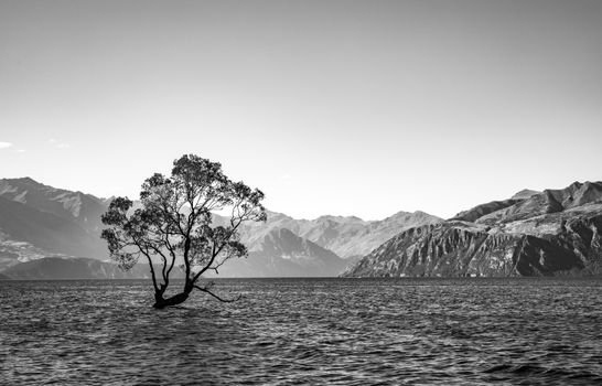 Wanaka and Roy's Peak hike — New Zealand — Queenstown
