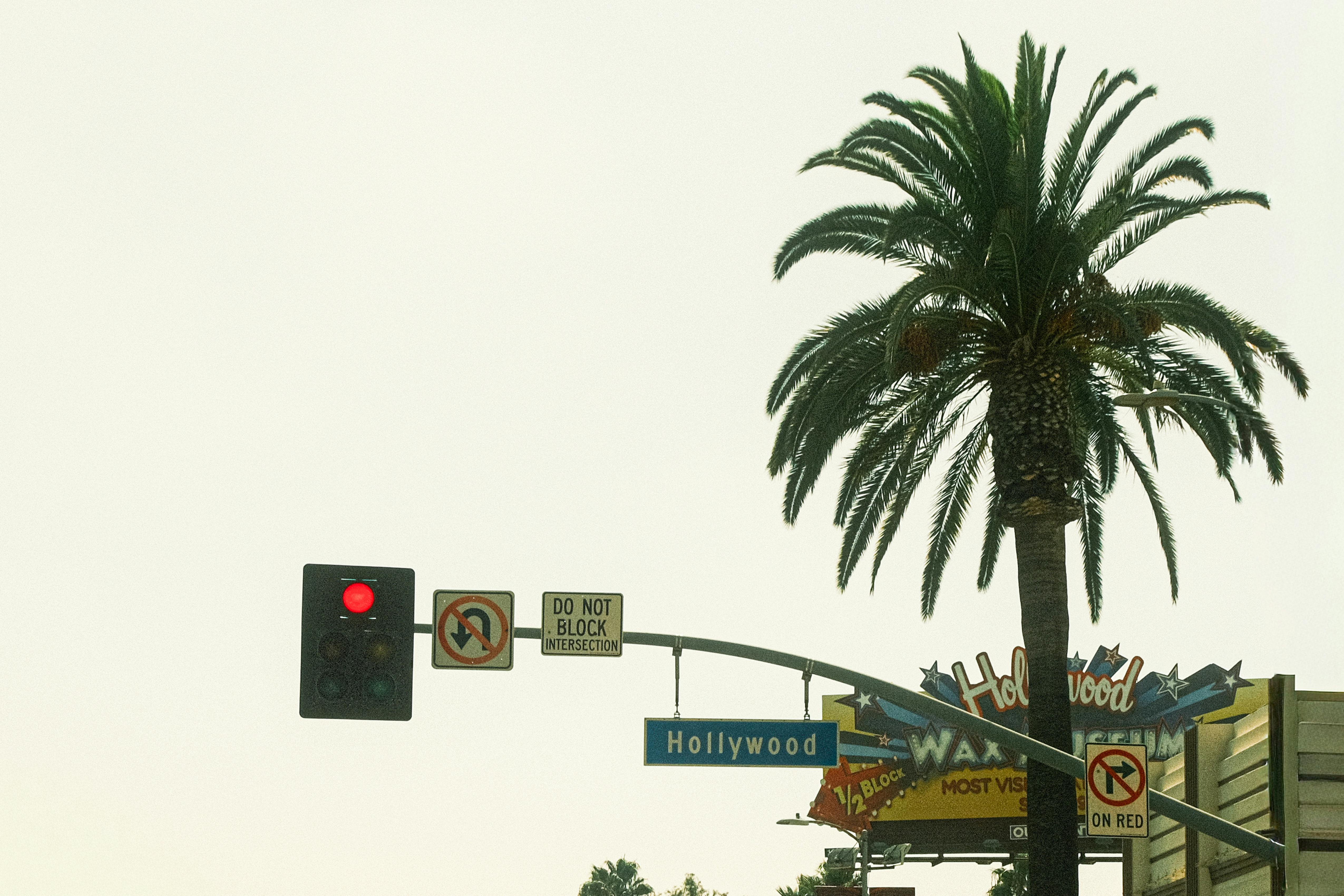 生活：現在有多少錢？揭露好萊塢明星財富真相