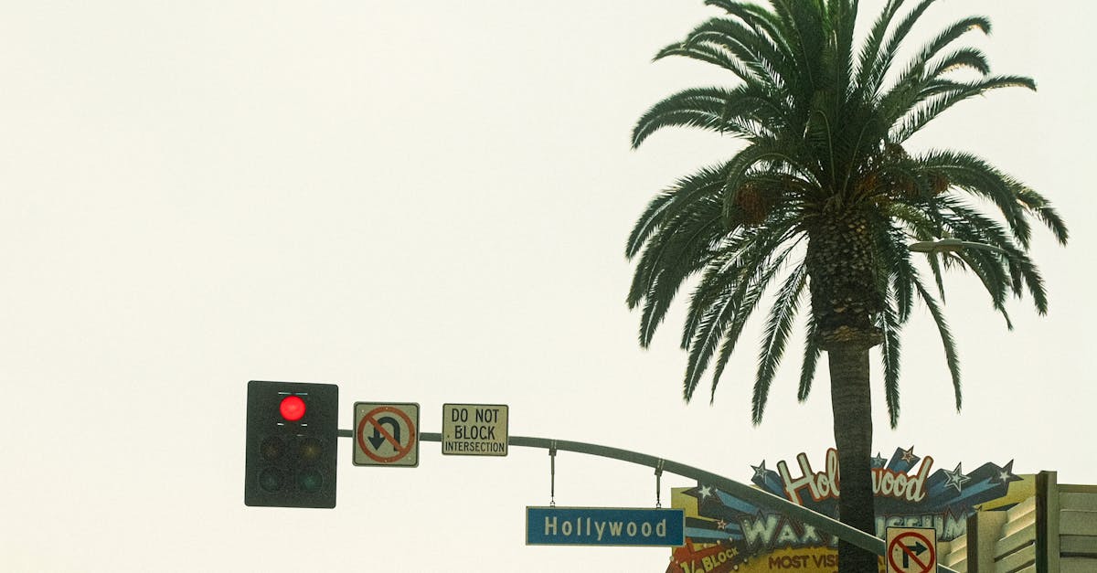 生活:現在有多少錢?揭露好萊塢明星財富真相