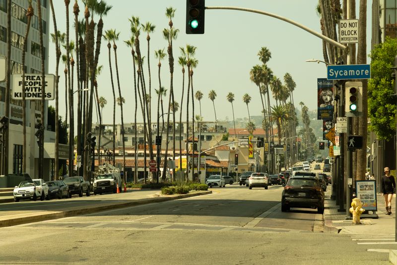 Palm-lined city boulevard — photo by ubeyonroad on Pexels