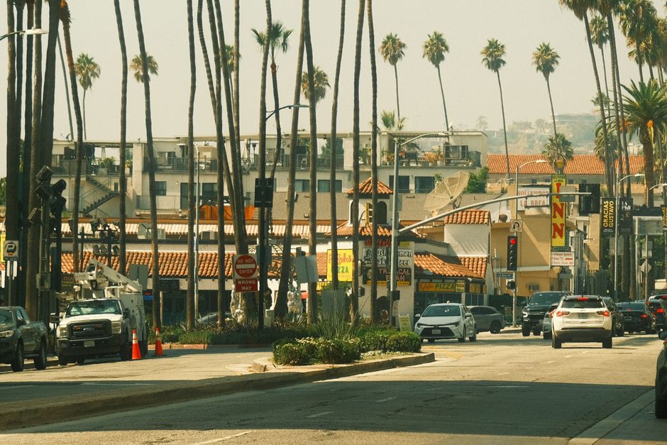 Urban Los Angeles street with palm trees and traffic, capturing city's vibrant atmosphere.