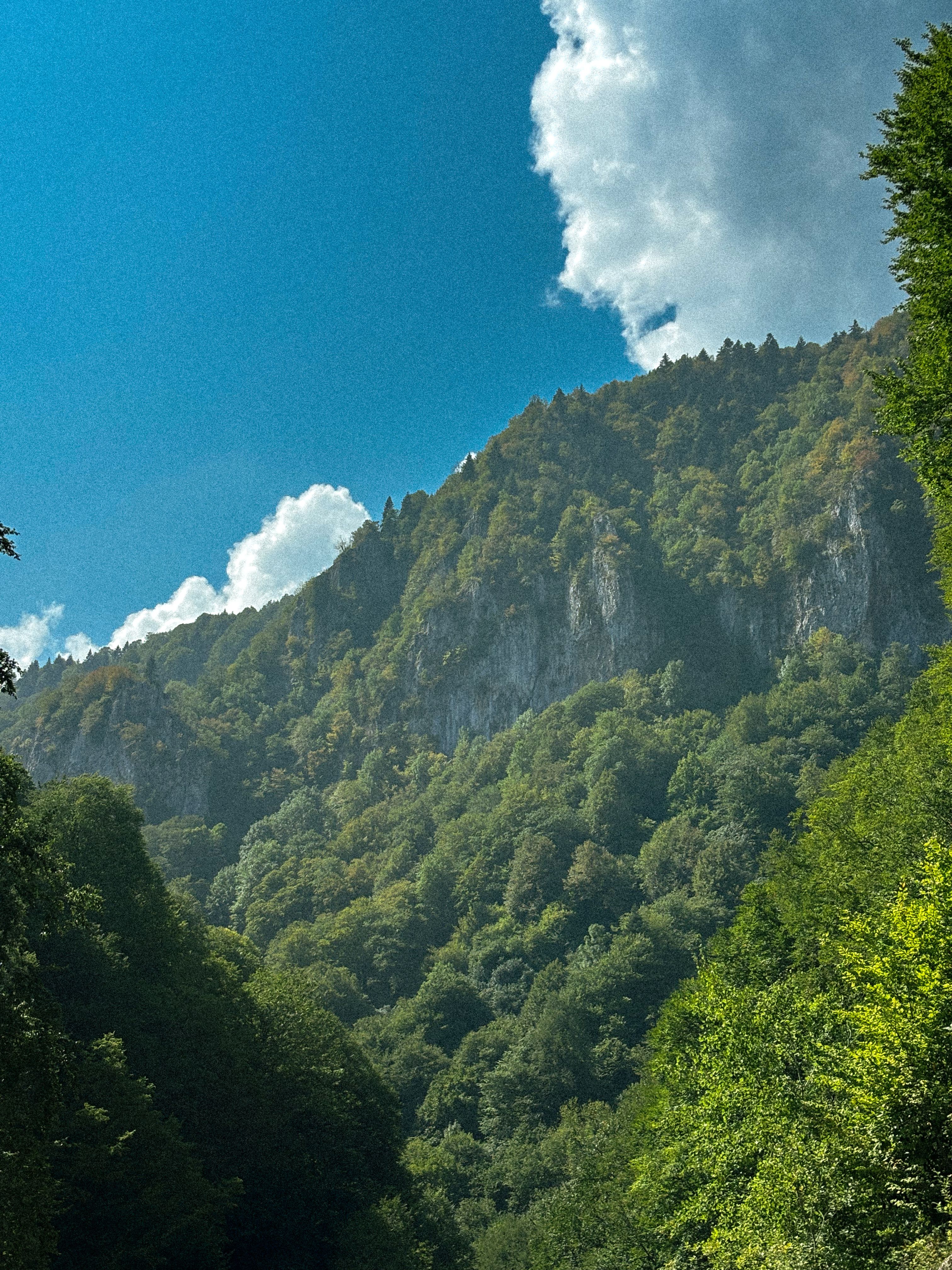 Lush Mountain Landscape with Blue Sky · Free Stock Photo