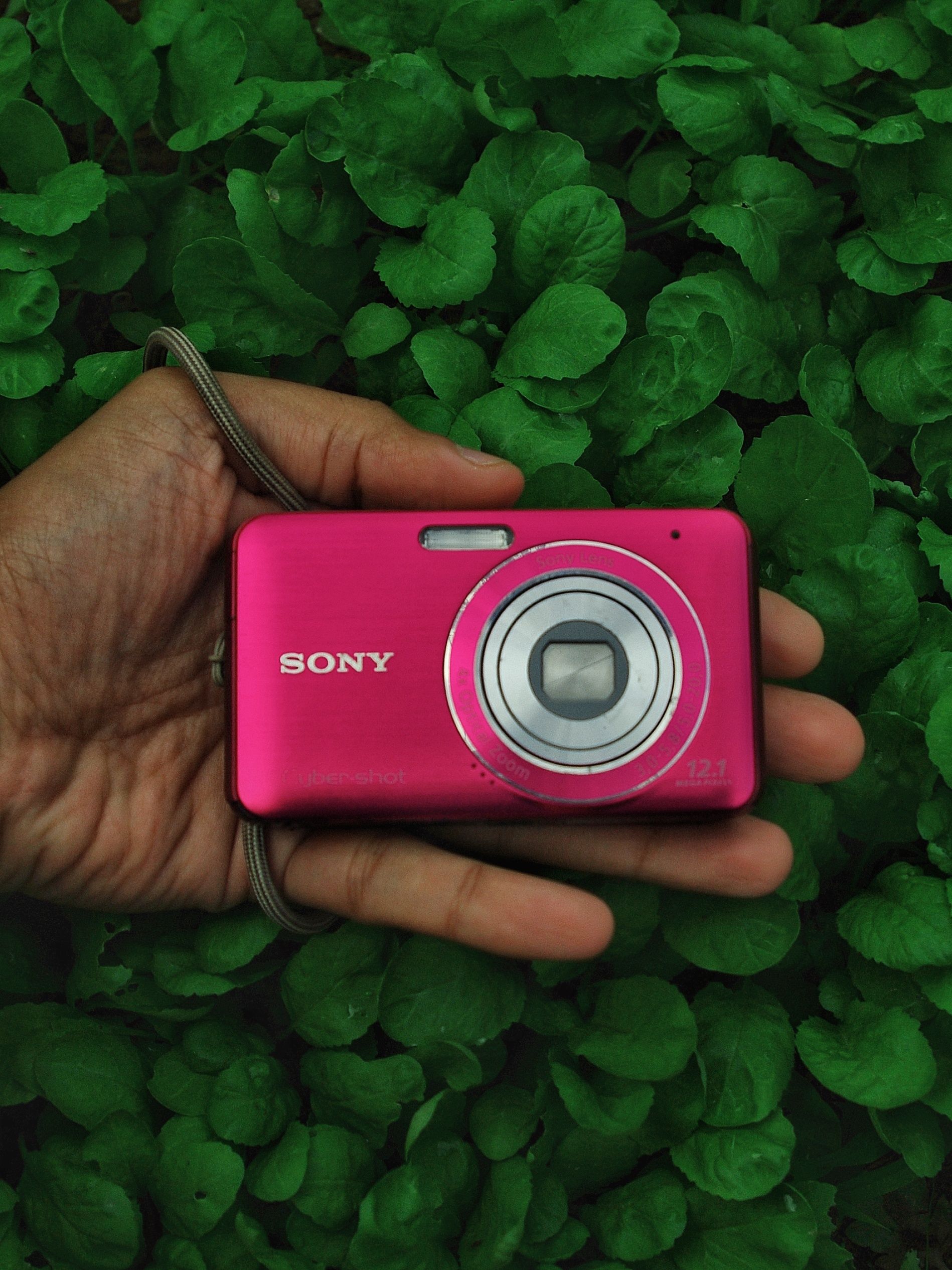 Digital Camera