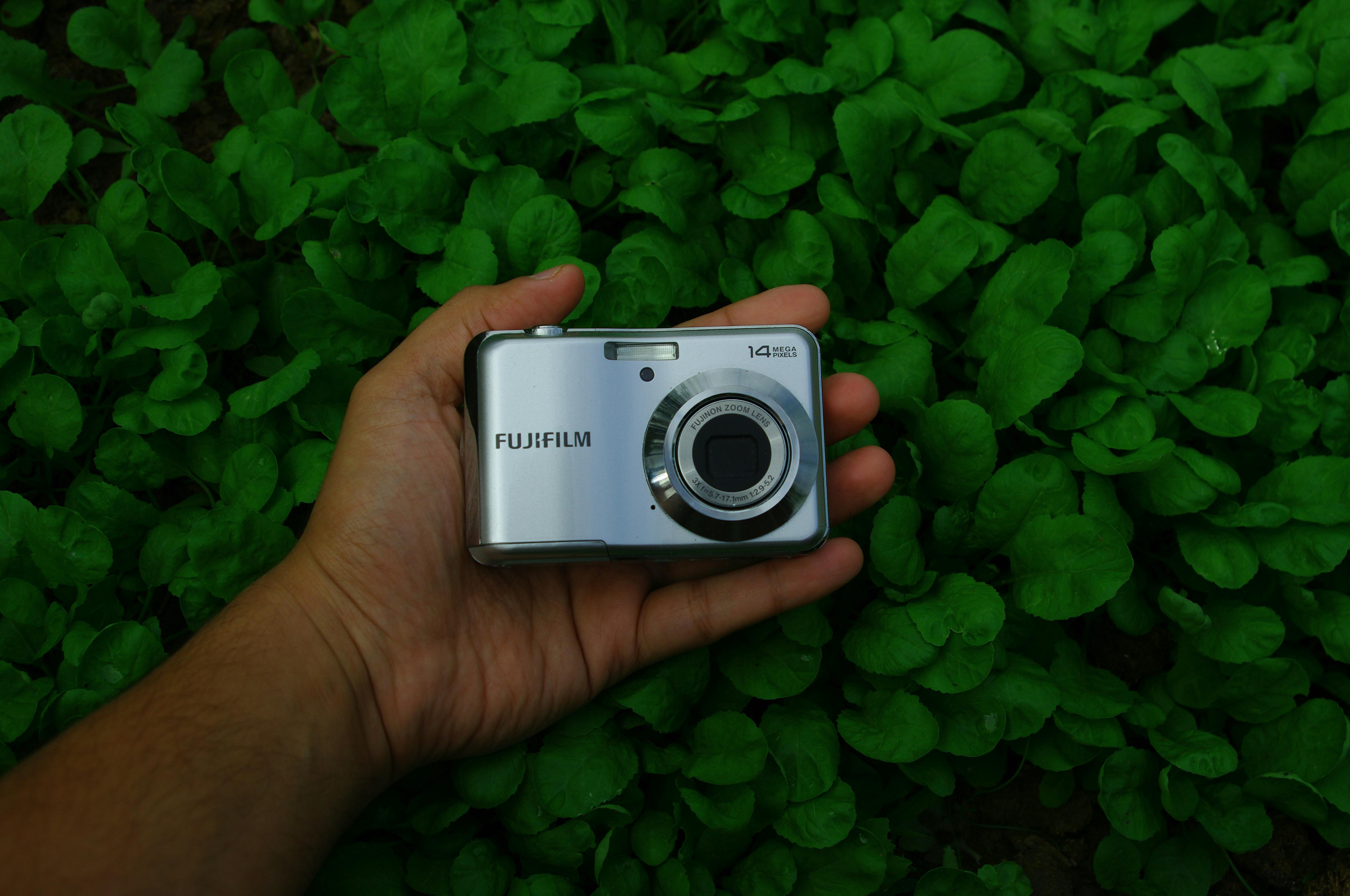 無接觸AI照護論壇 聚焦高齡科技研發與應用