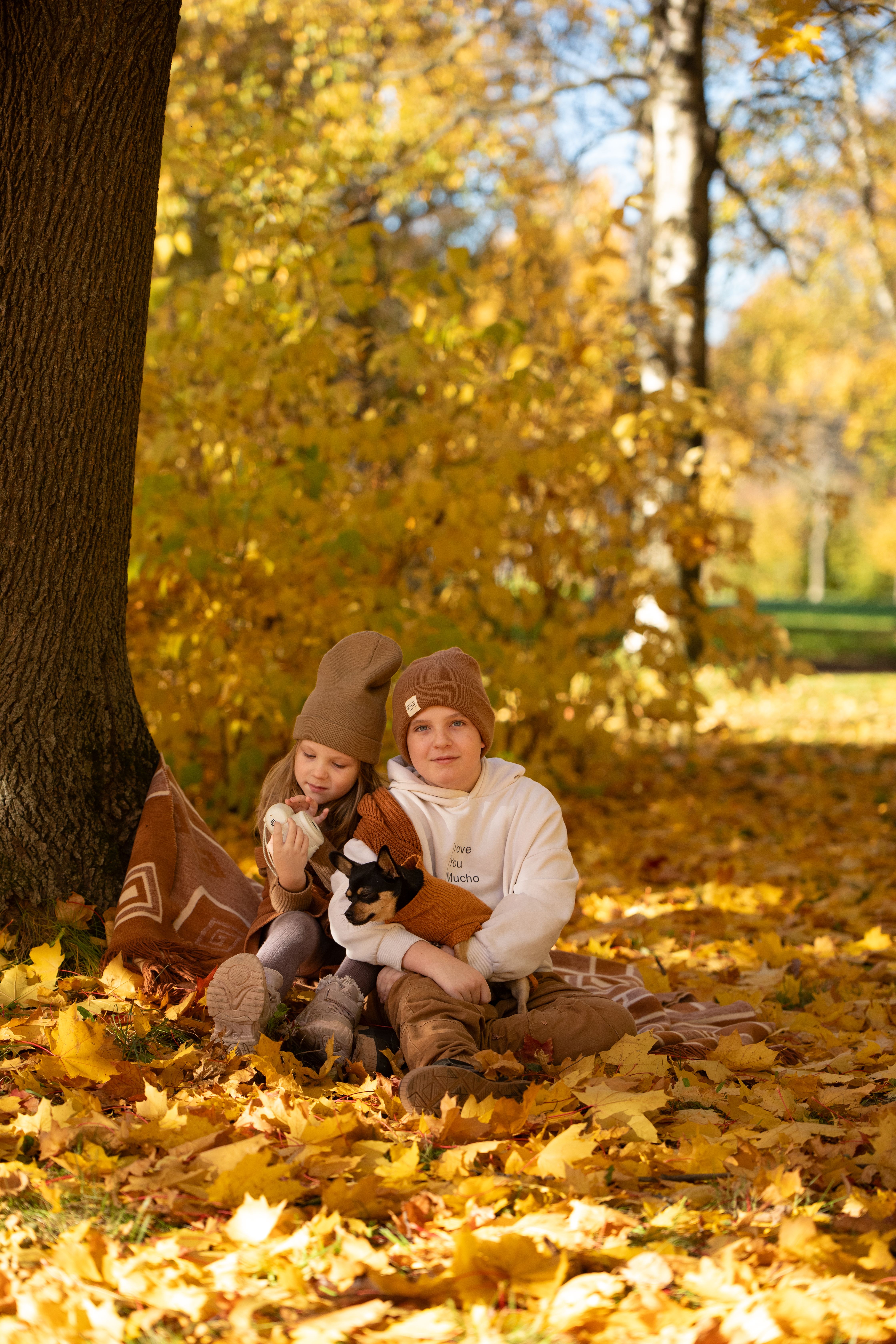 Two children sitting under a tree with fall leaves around them enjoying a sunny autumn day.