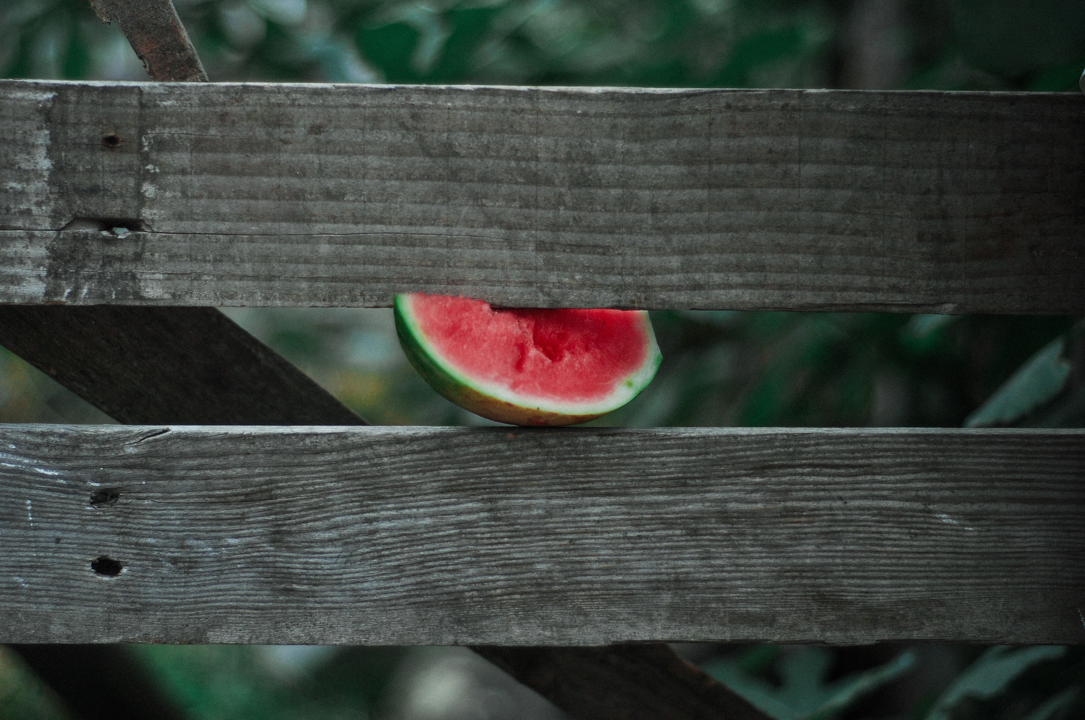 Half Watermelon Behind a Wooden Fence · Free Stock Photo