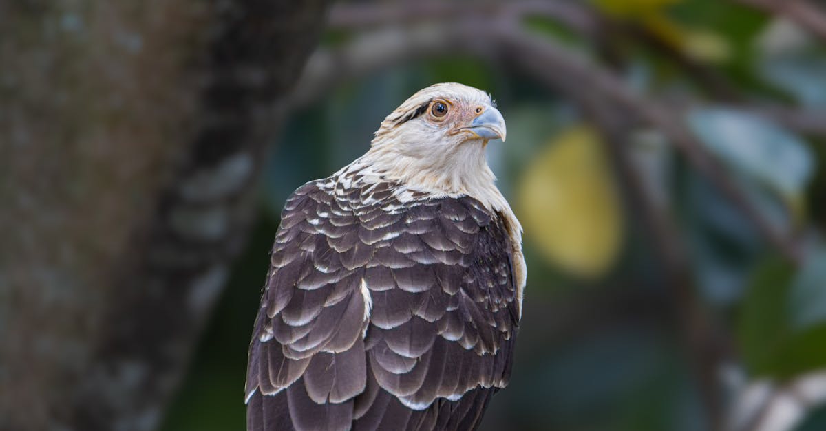 Cara Membuat Surat Resign yang Elegan dan Profesional (Tanpa Membakar Jembatan)