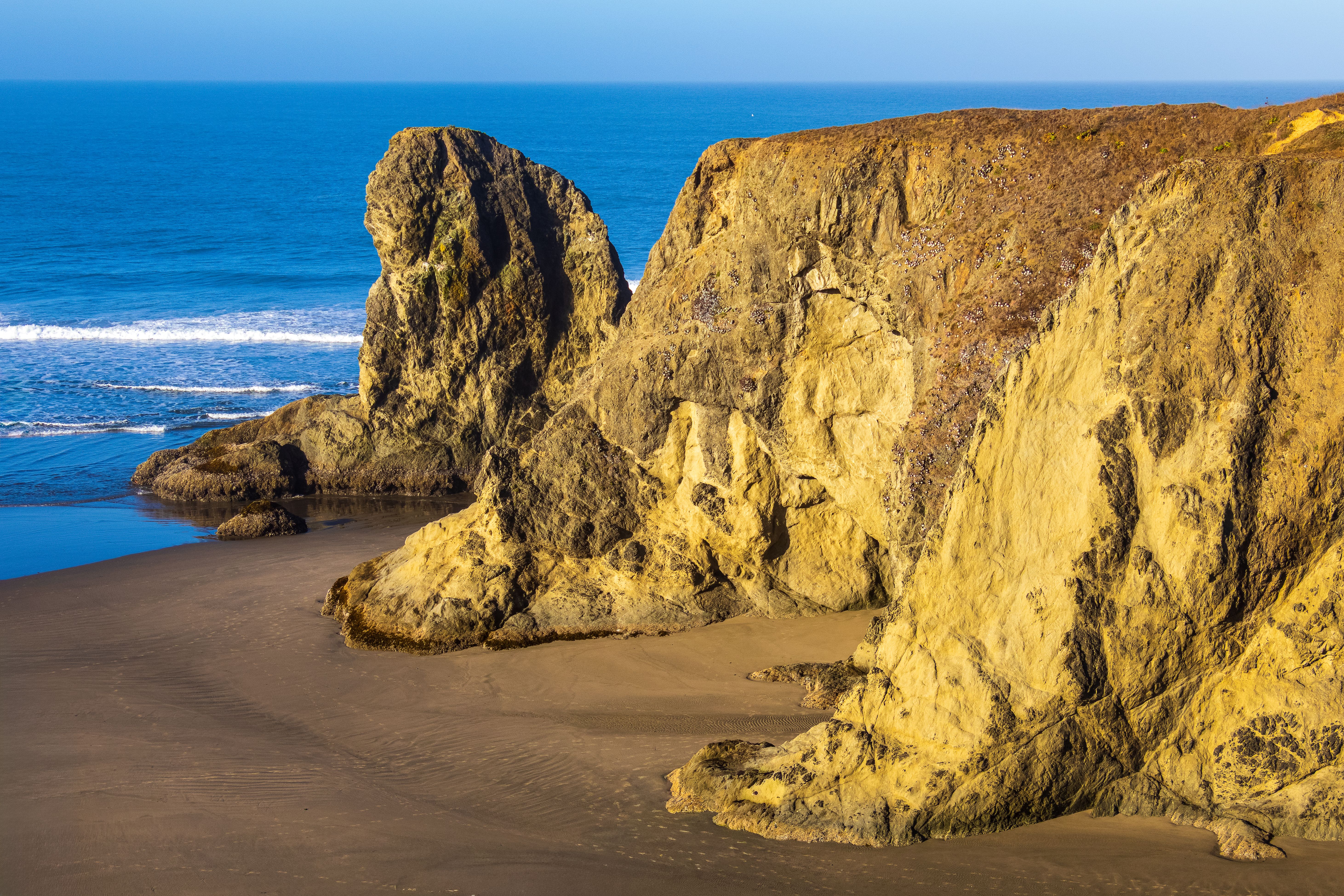 Ecola State Park