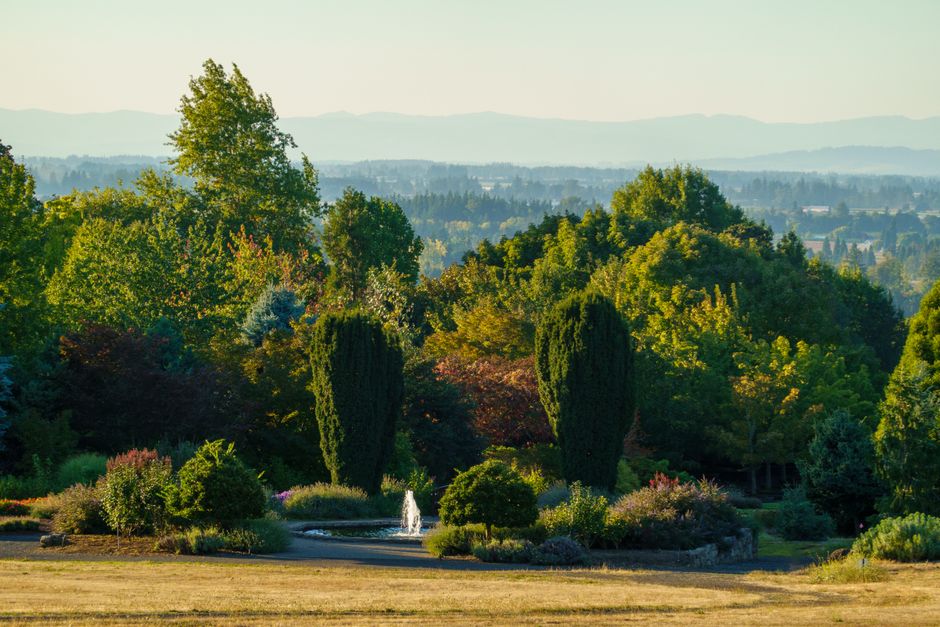 Lush garden landscape with a scenic fountain, framed by vibrant greenery and distant hills on a sunny day.