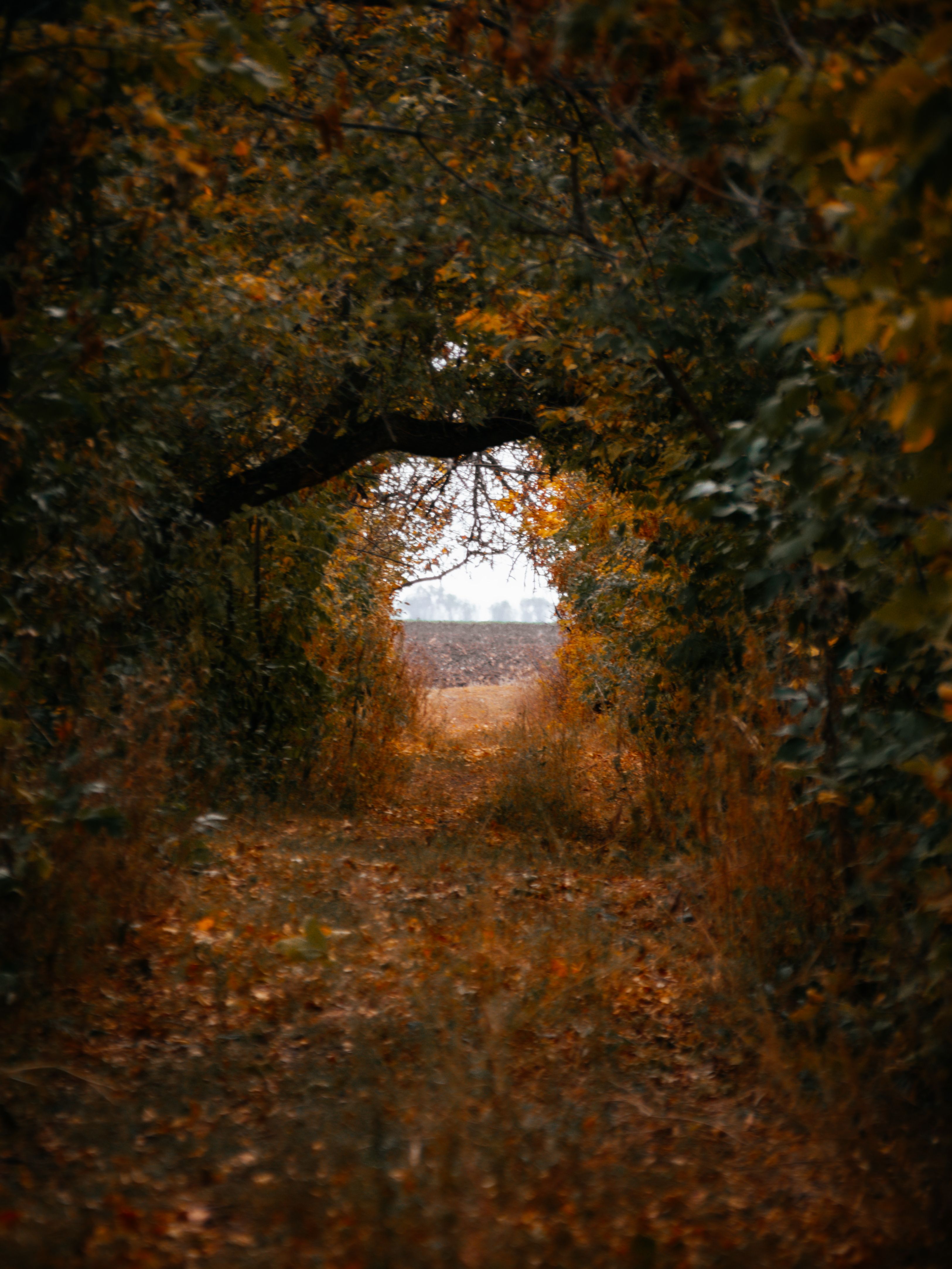 New+Png+Background+Hd+Nature Photos, Download The BEST Free New+Png ...