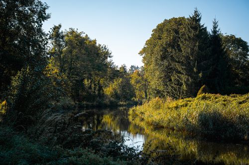 Free Tranquil autumn scene featuring a reflective body of water surrounded by vibrant foliage under a clear sky. Stock Photo