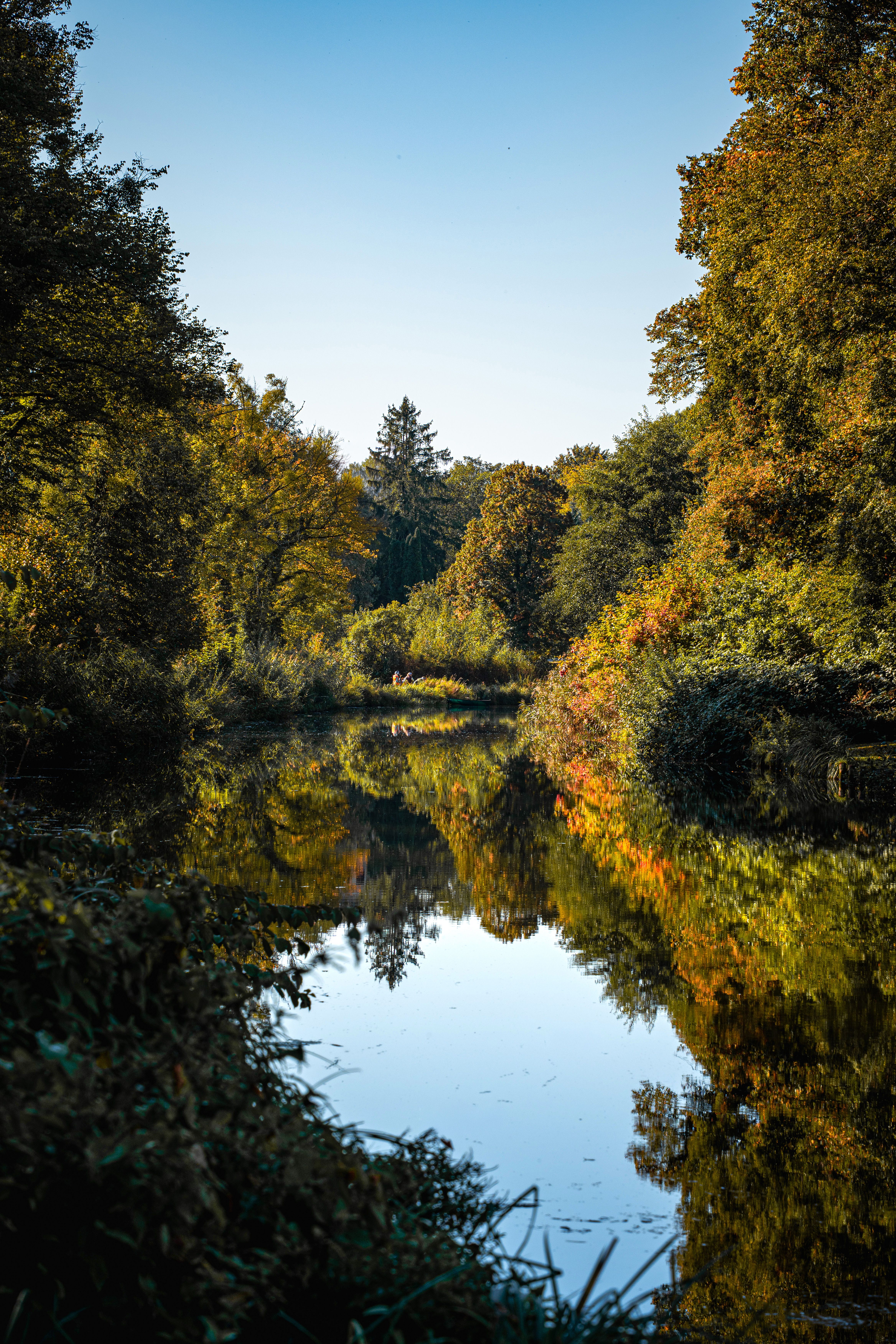 Serene Autumn Landscape with Reflective Water · Free Stock Photo