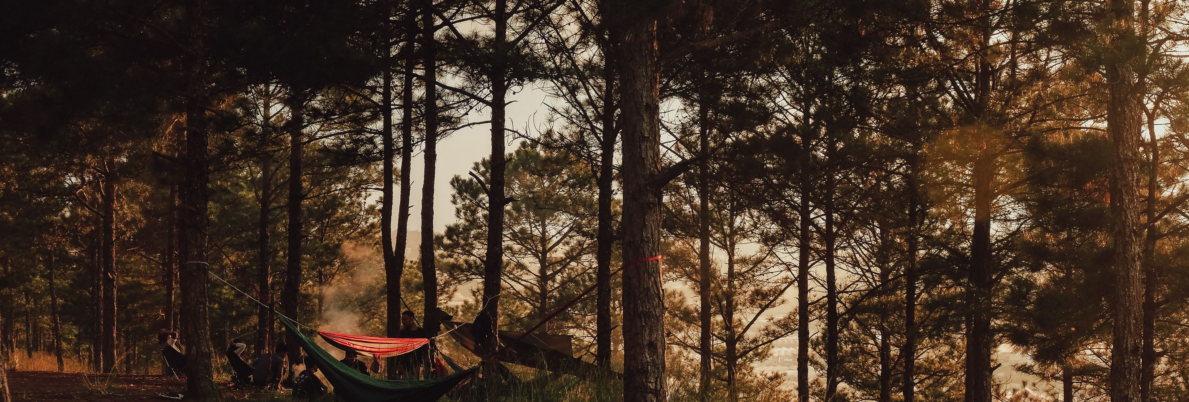 Forest Breathwork for Deep Sleep: The Nature-Based Protocol