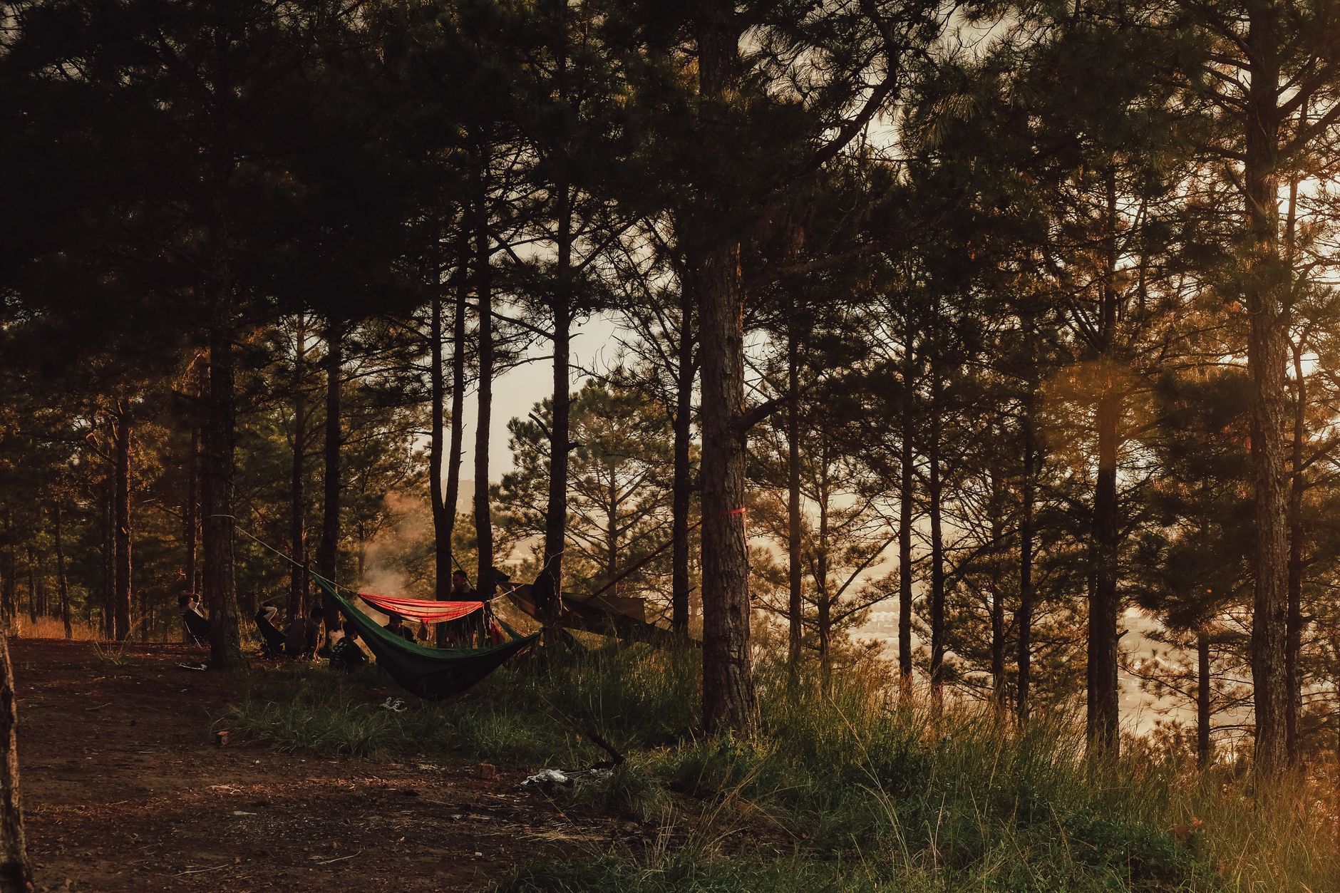 hammock camping forest trees
