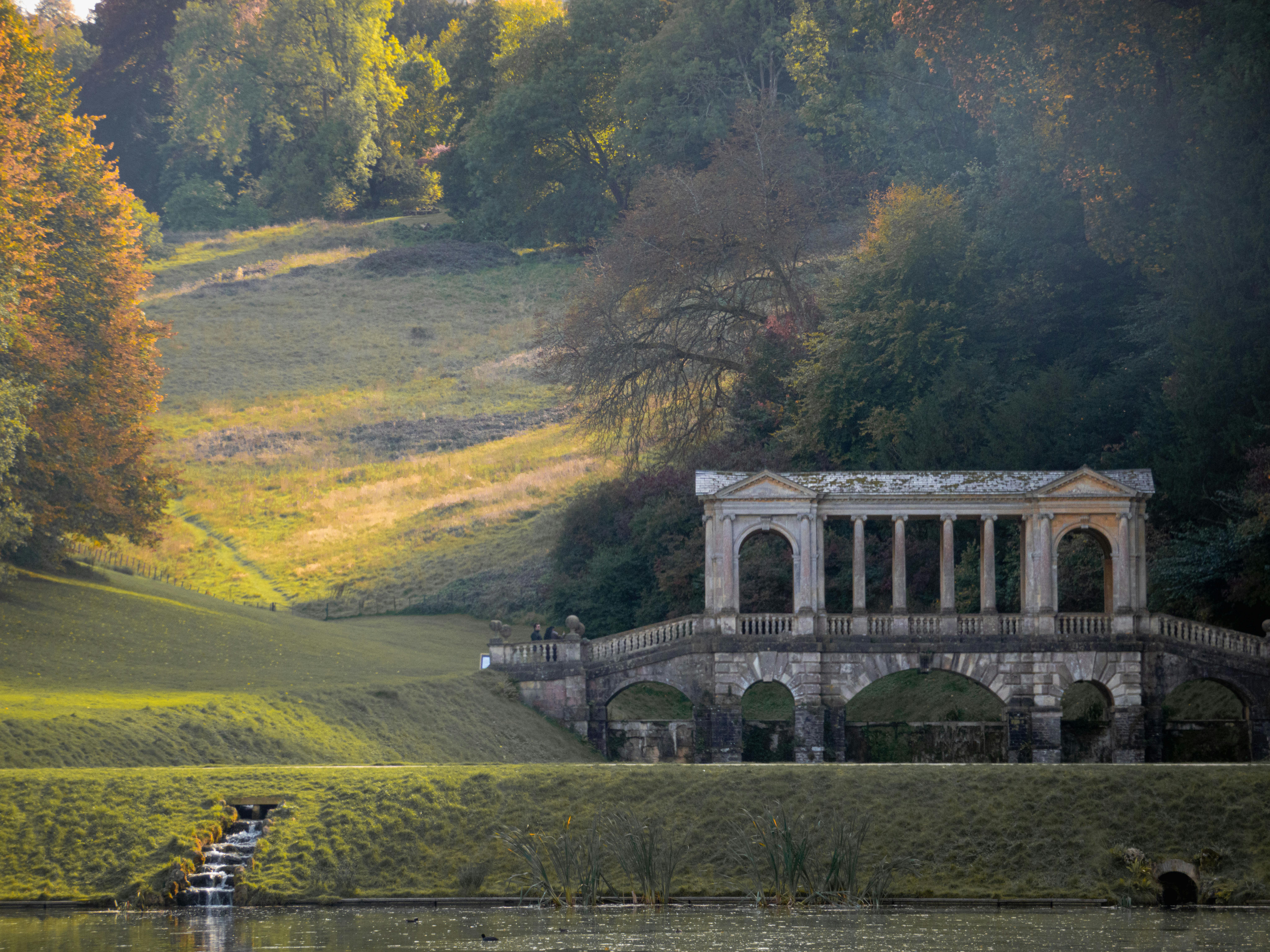 苓雅運動生活圈增設滯洪公園 打造綠意全民共享空間
