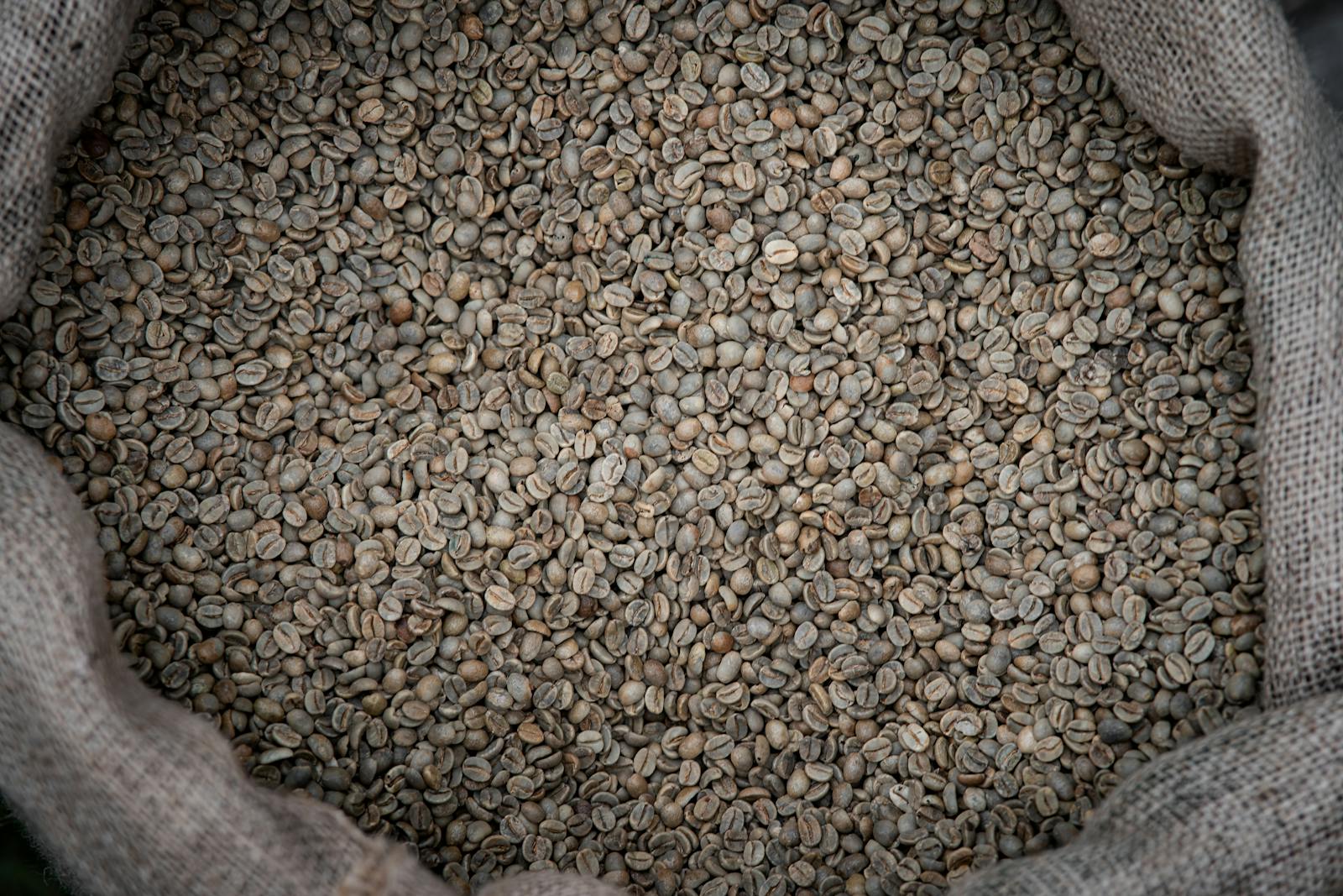 Green coffee beans in burlap sack, top-down view