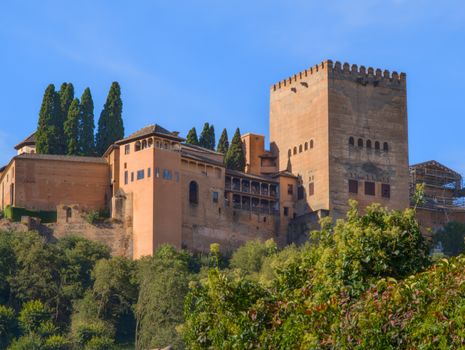 Alhambra and Nasrid Palaces guided morning — Granada