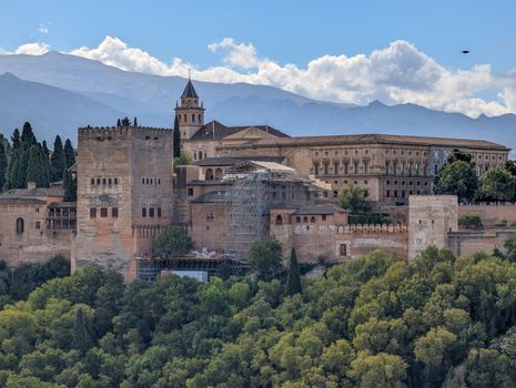 Alhambra and Nasrid Palaces guided morning — Granada