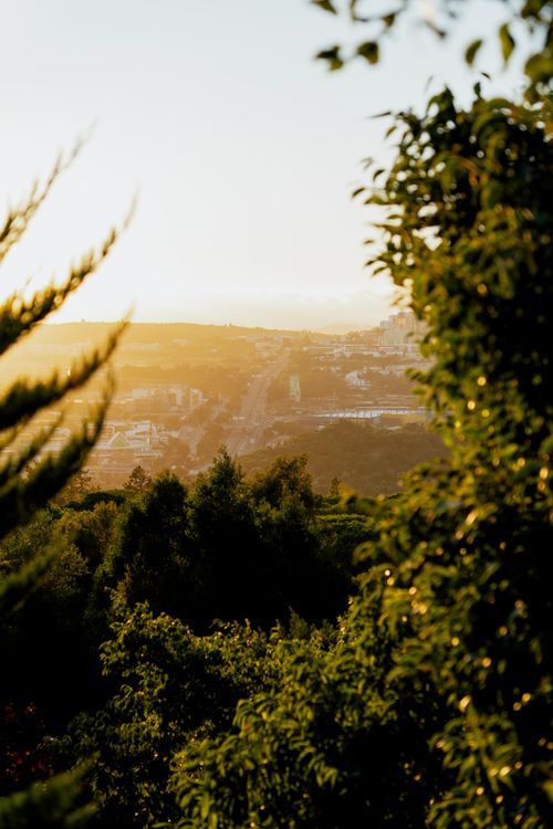 Free Captivating view of Lisbon's landscape with sunset hues illuminating the city skyline through lush trees. Stock Photo