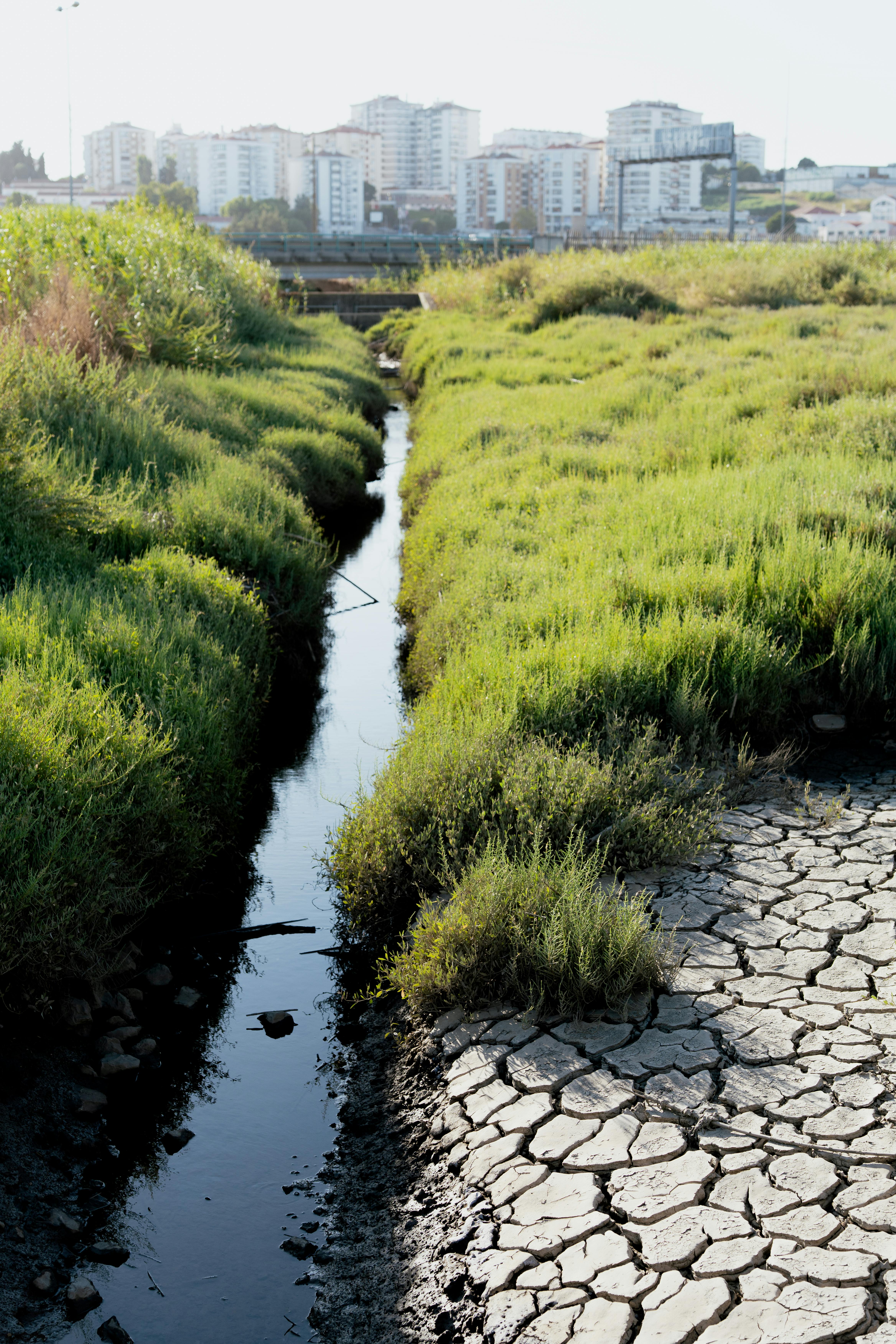 Urban Water Conservation: Lessons from Phoenix, Denver, and Las Vegas
