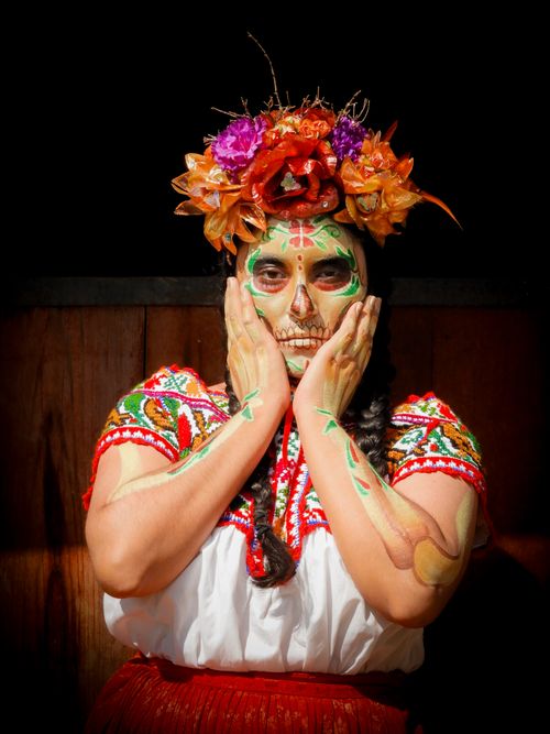 Free A captivating Day of the Dead Catrina with traditional makeup and floral headpiece, celebrating Mexican culture. Stock Photo