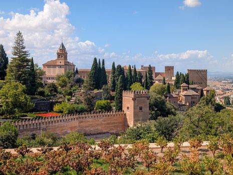 Alhambra and Nasrid Palaces guided morning — Granada
