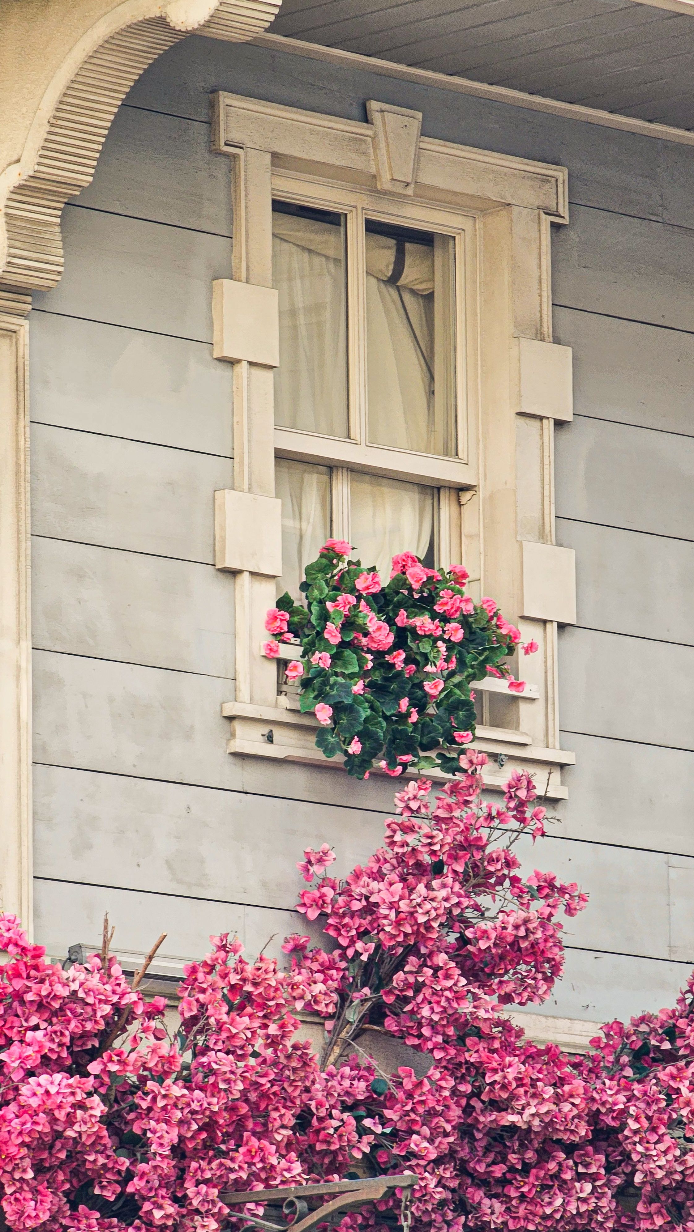 House Texture Photos, Download The BEST Free House Texture Stock Photos ...