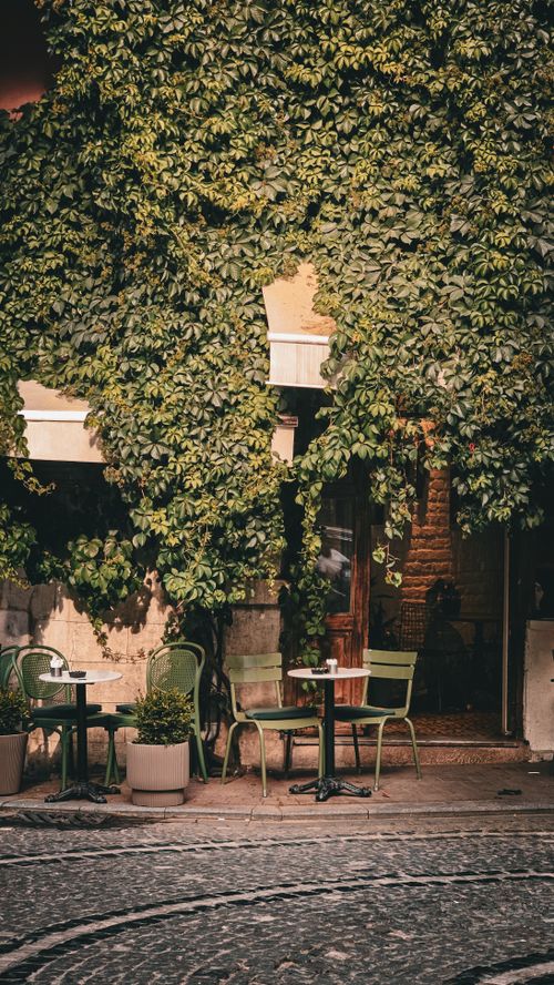 Free Quaint outdoor cafe setting with lush ivy-covered walls and cozy seating, perfect for a serene drink. Stock Photo