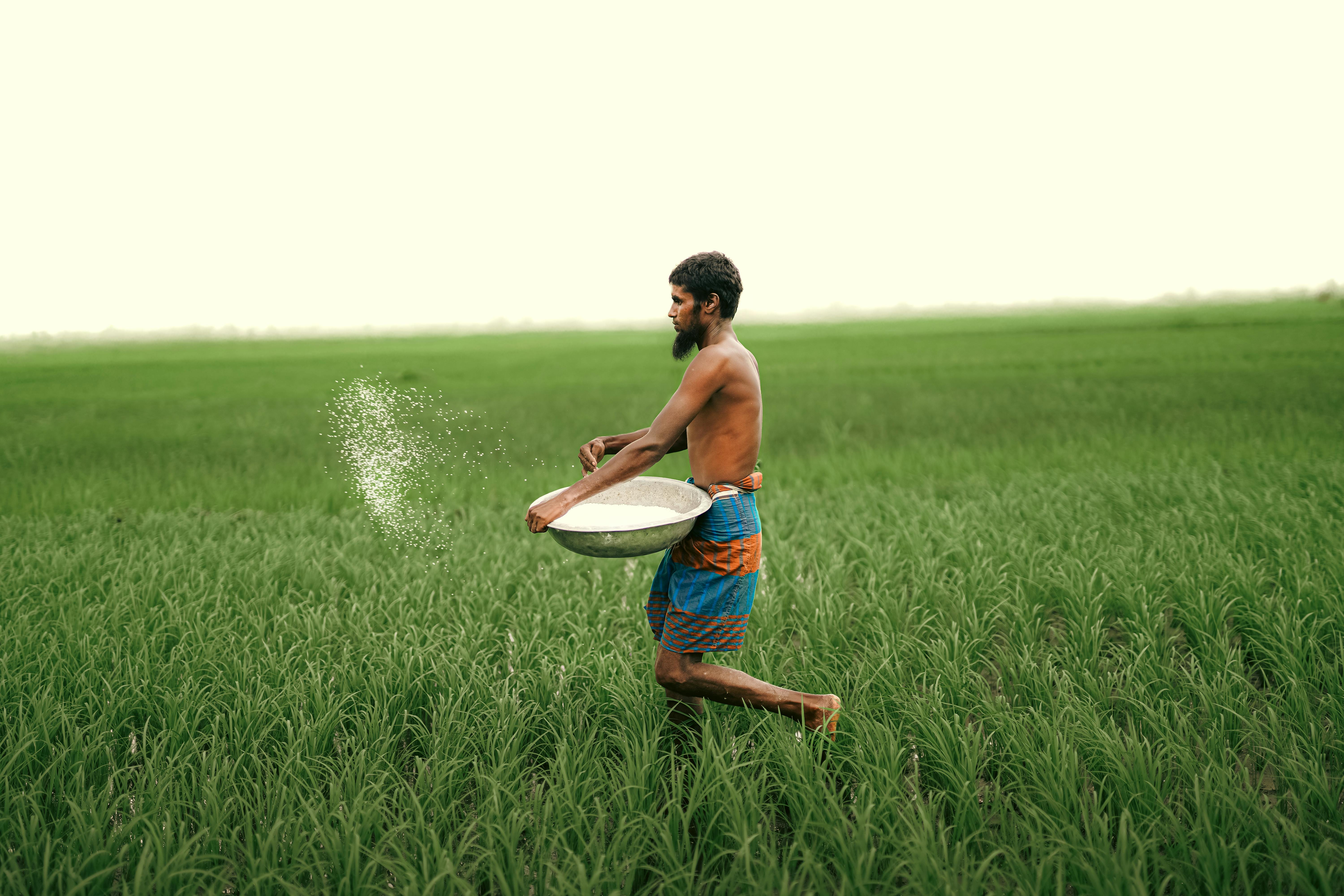 Eugenia involucrata: Cultivo, Propagación y Potencial Nutracéutico