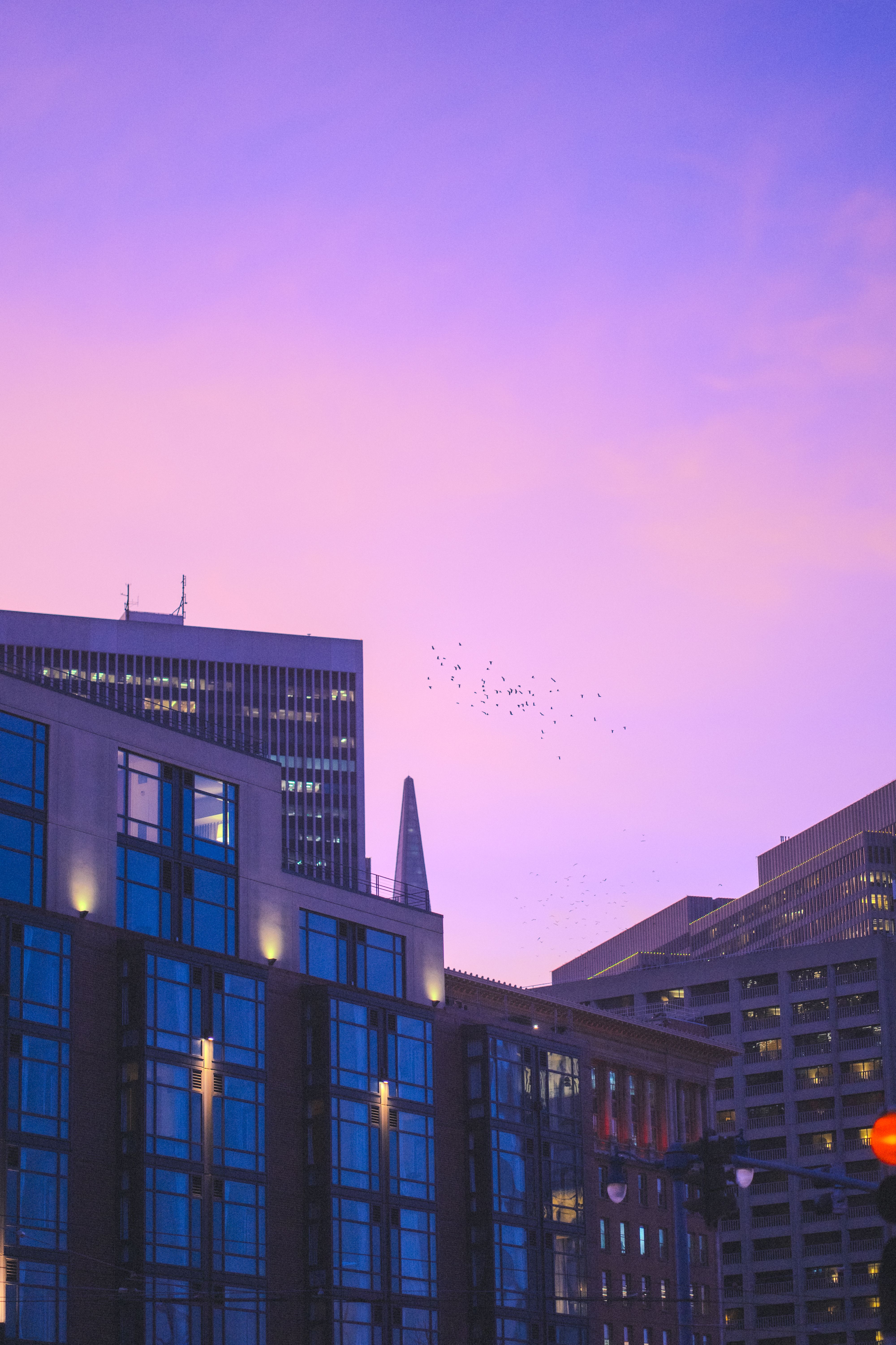cinematic city architecture at dusk with atmospheric purple light