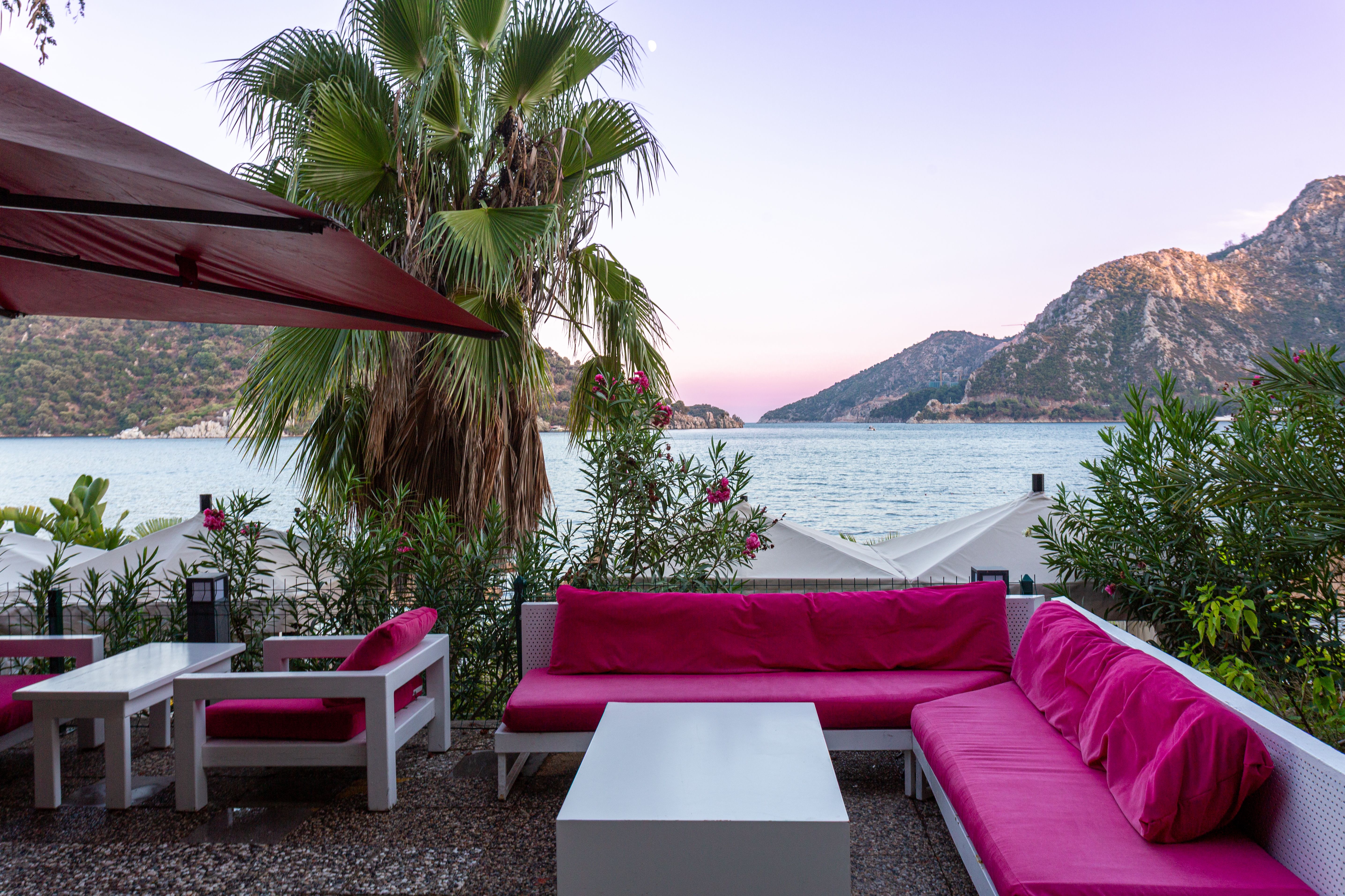 Summer Outdoor Furniture Comparison: Sofas vs. Grill Carts v