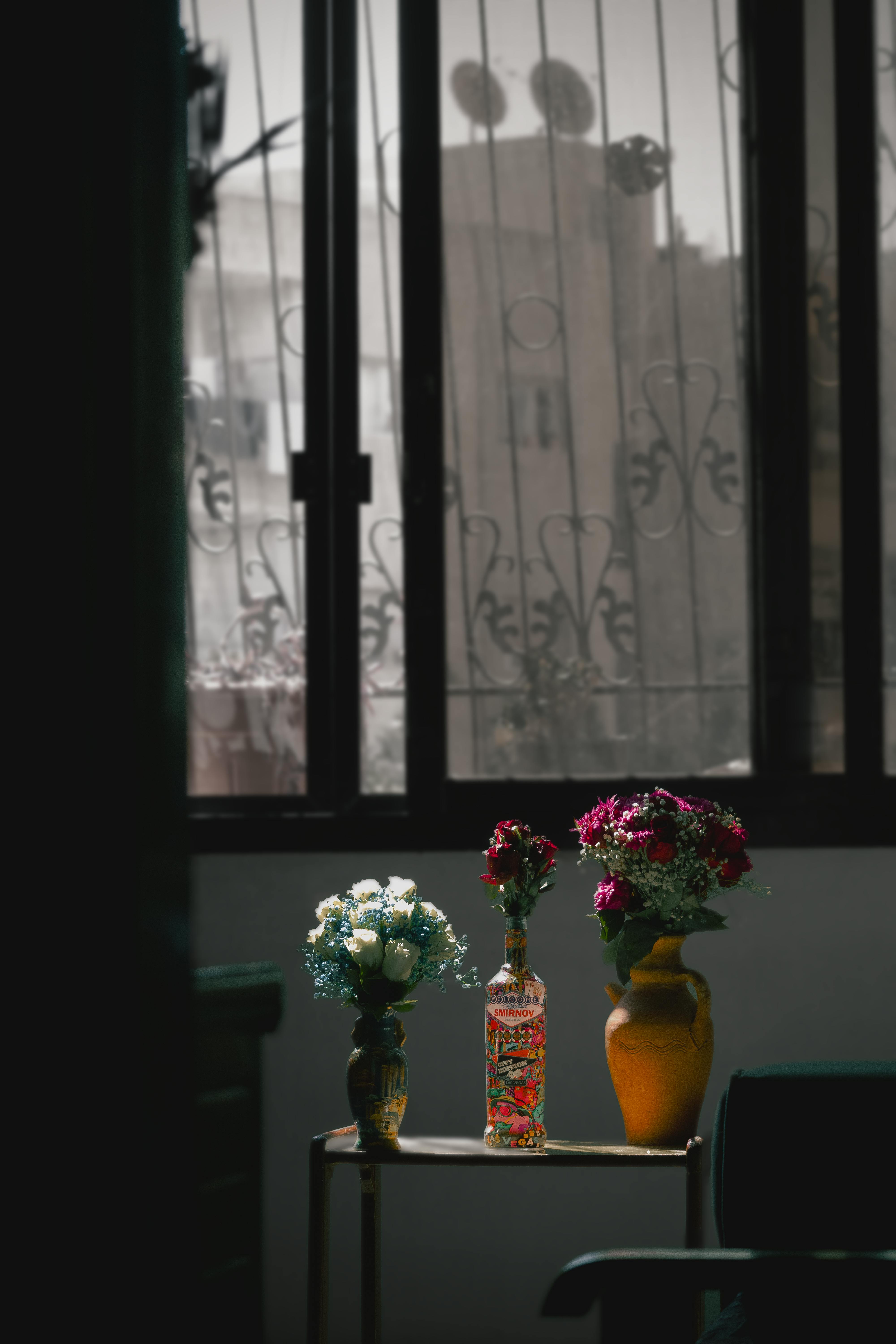 Gratis Un ambiente interno accogliente con fiori dai colori vivaci in vasi decorativi vicino alla finestra. Foto a disposizione