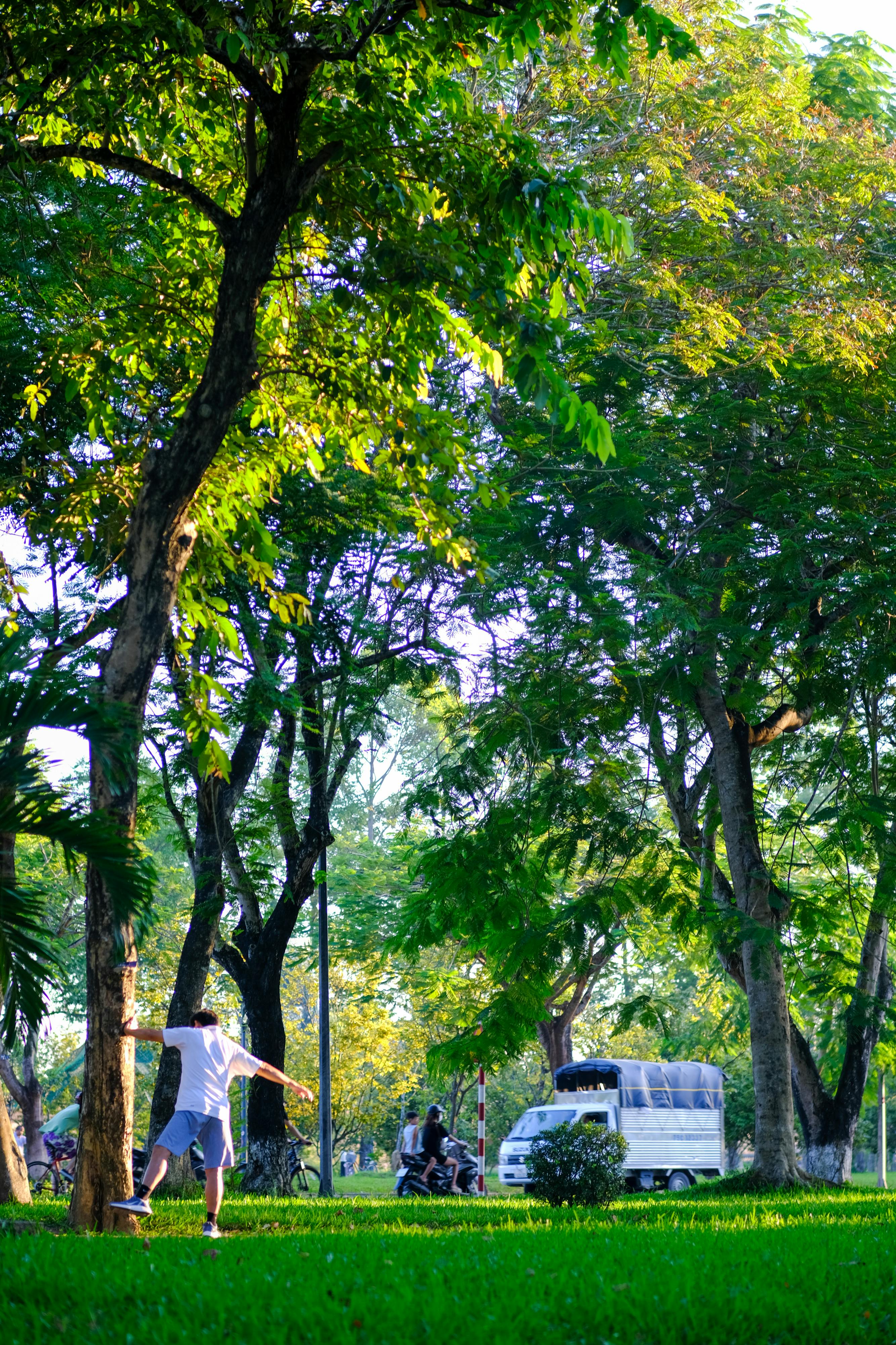 Trung tâm nghiên cứu văn học, phát triển nhà văn Việt Nam