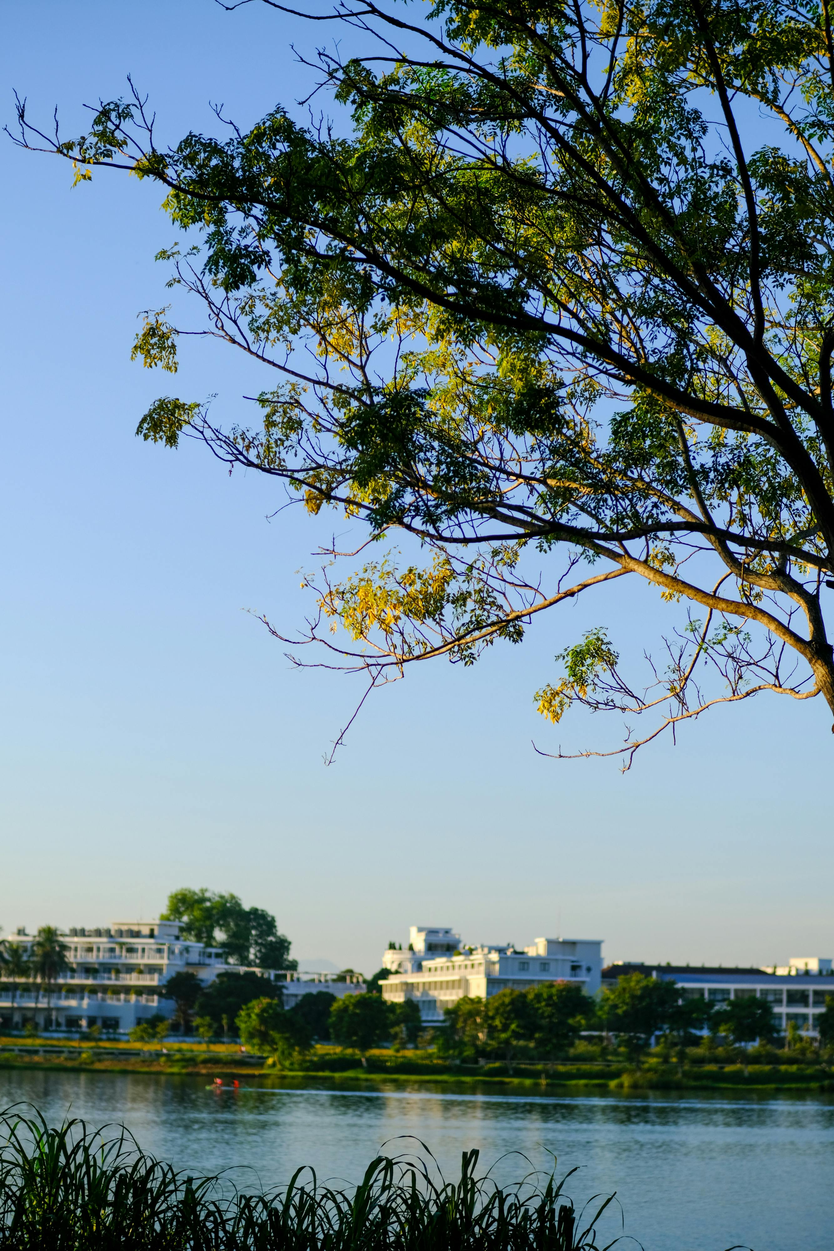Trung tâm nghiên cứu văn học, phát triển nhà văn Việt Nam