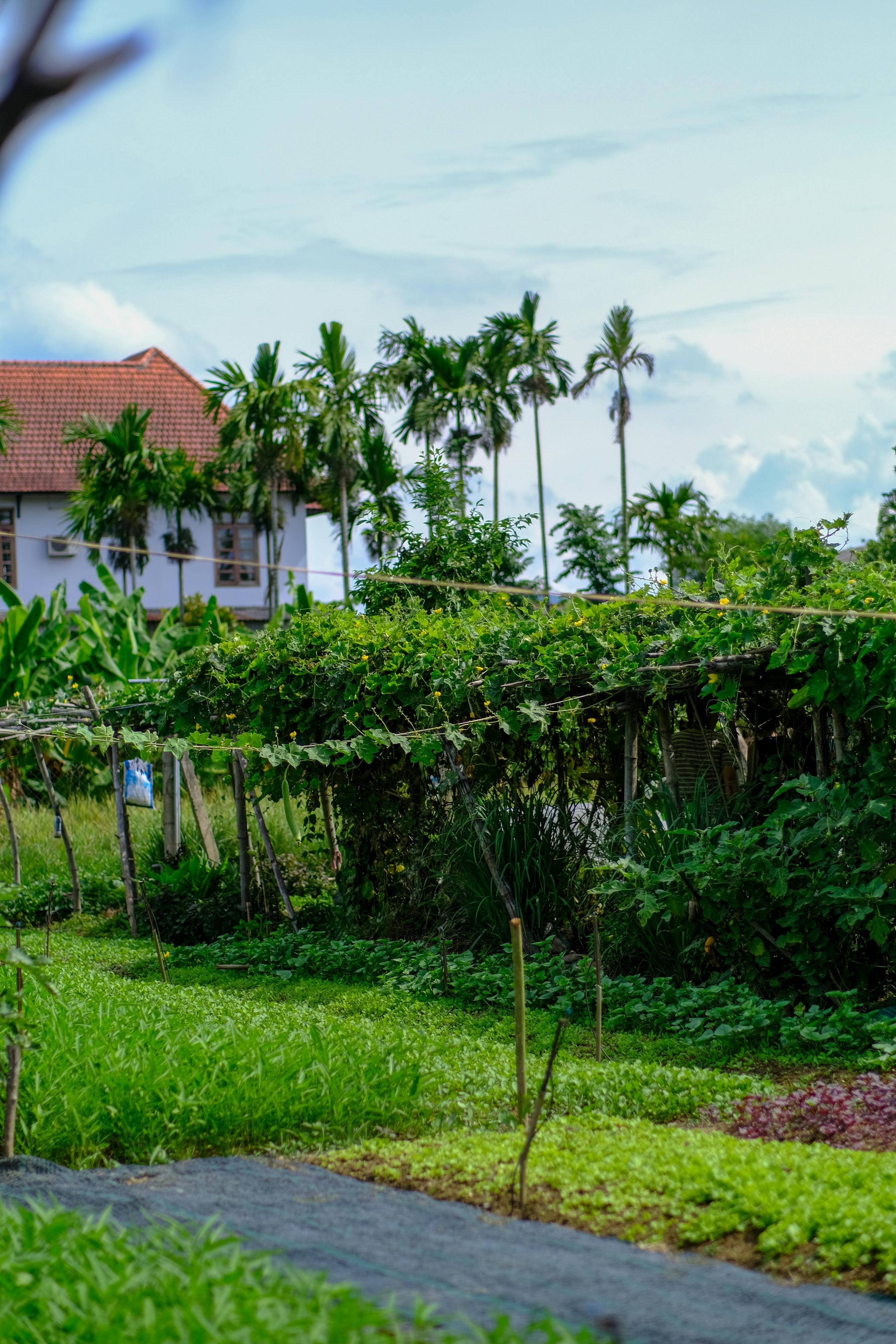 Hướng đi của đạo Bụt cho hòa bình và môi sinh | Chương 06 709 – thu vien, van hoc, van hoc viet nam, doan van, ton giao, phat giao, thien van, thuc hanh ton giao, thich nhat hanh, huong di cua dao but cho hoa binh va moi sinh, huong di cua dao but cho hoa binh va moi sinh chuong 06, huong di cua dao but cho hoa binh va moi sinh 06.