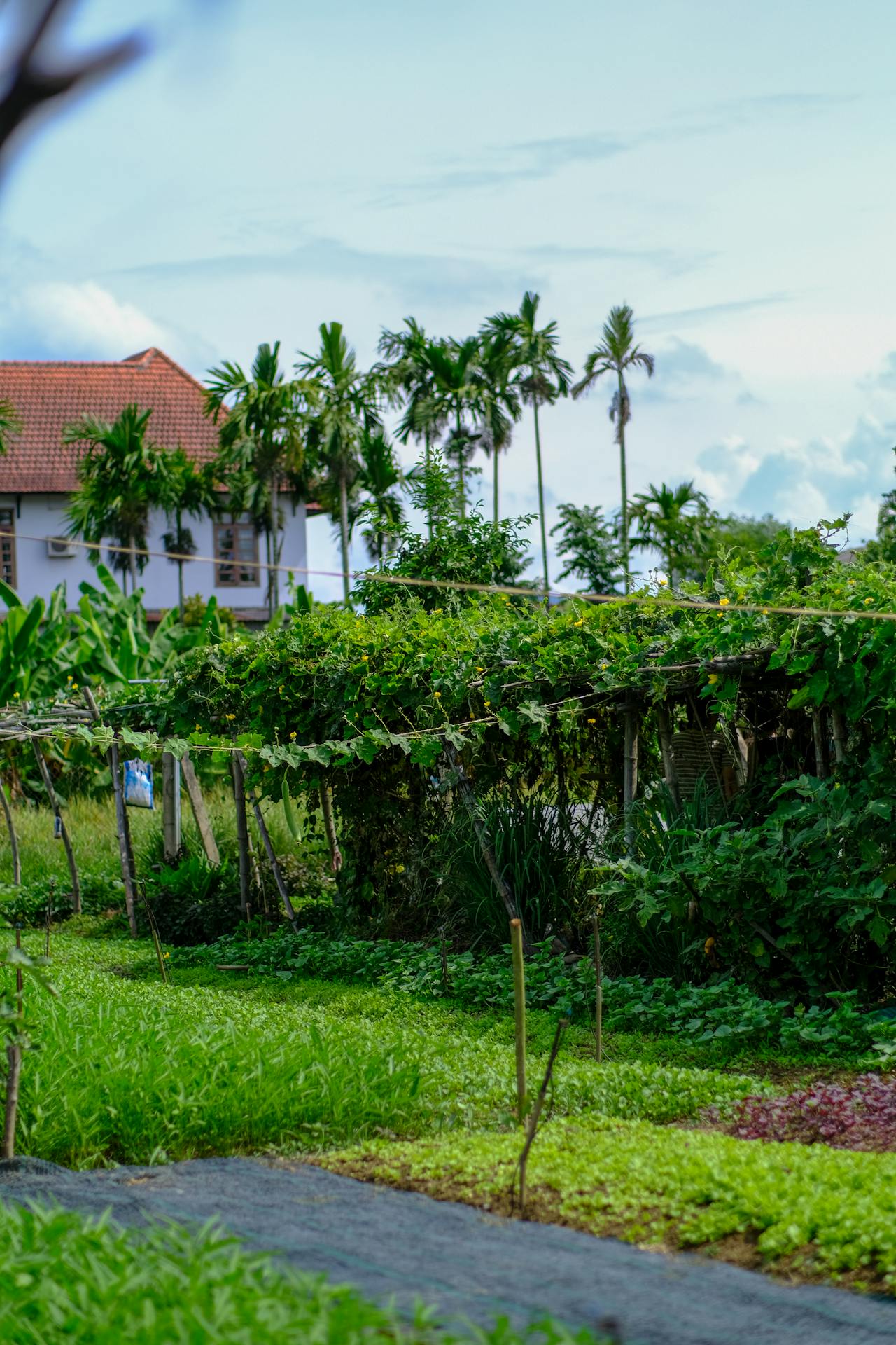 Tĩnh lặng | Chương 05
