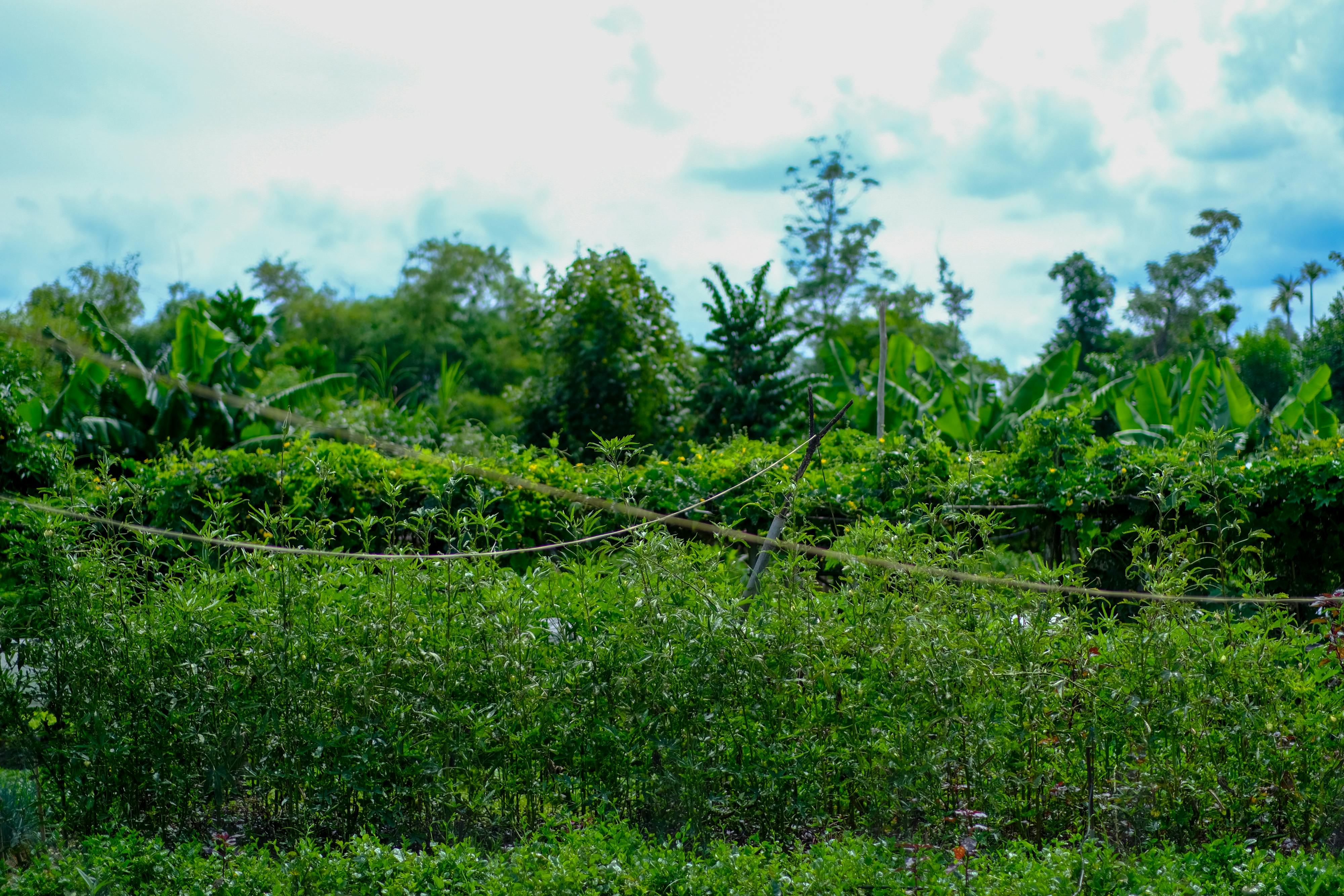 Trung tâm nghiên cứu văn học, phát triển nhà văn Việt Nam
