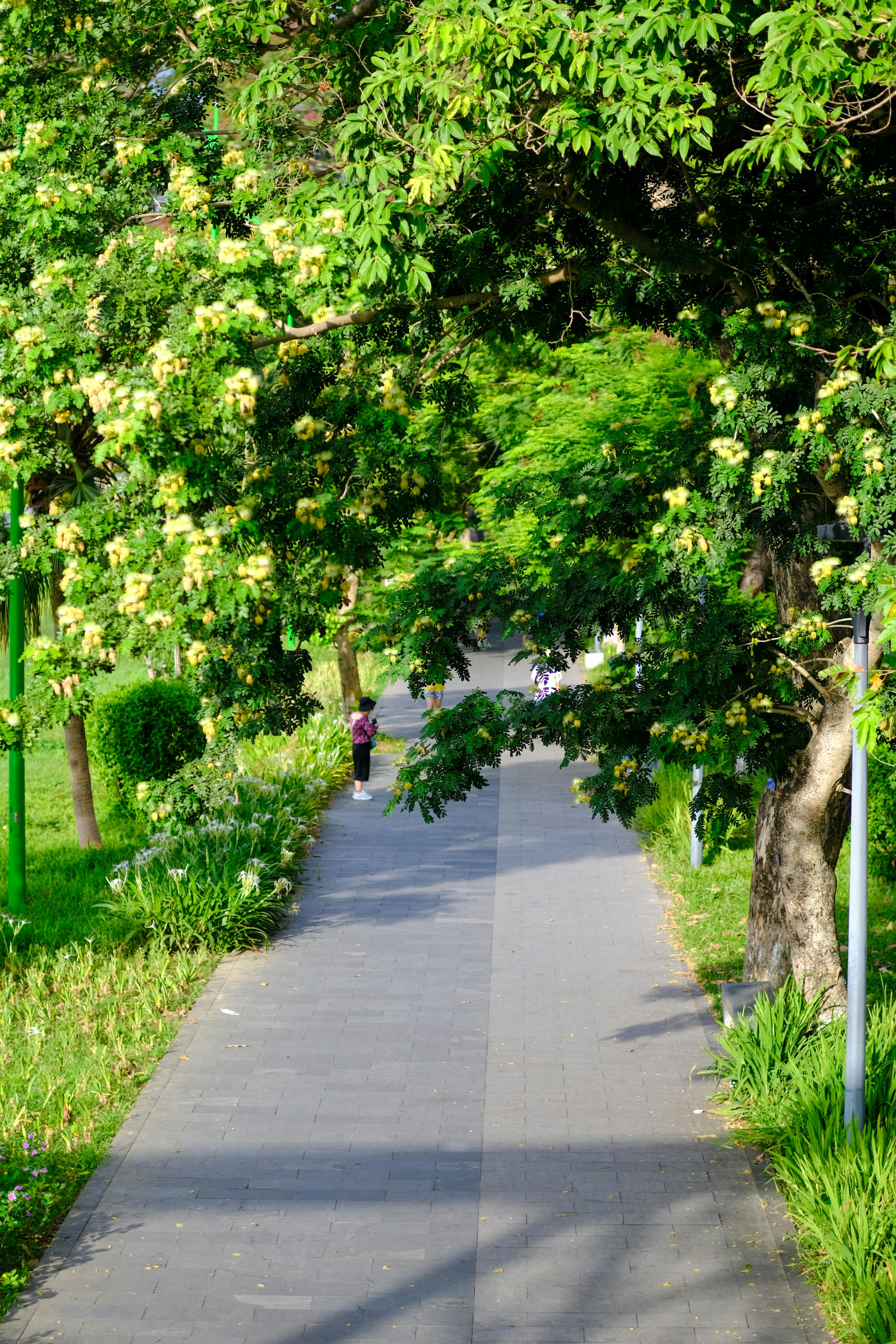 Sức mạnh Đạo Đức Kinh trong thời đại mới 365 – xa hoi hoc, tam ly hoc, tu duy, dao duc, dao duc kinh, suc manh dao duc.