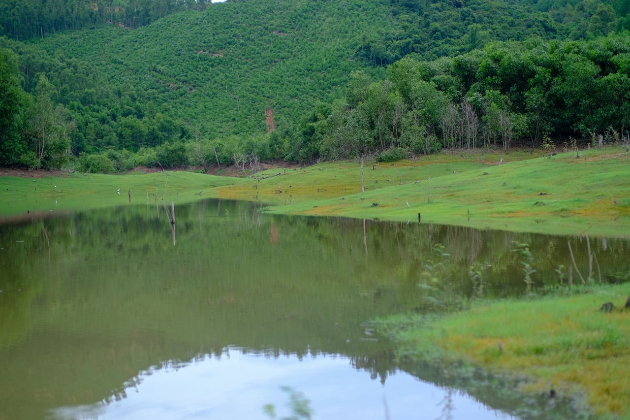 Giếng thở than | Chương 14