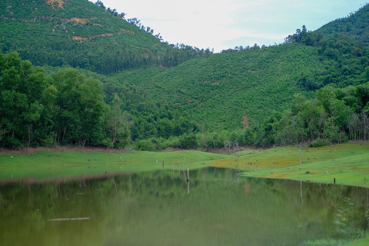 Khai thác dữ liệu cá nhân từ nguồn công khai