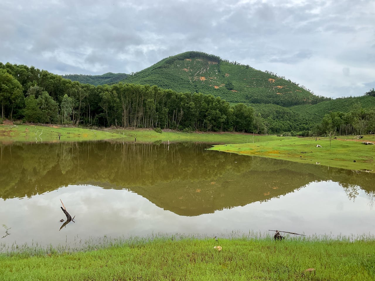 Thám tử lừng danh Conan | Chương 0323