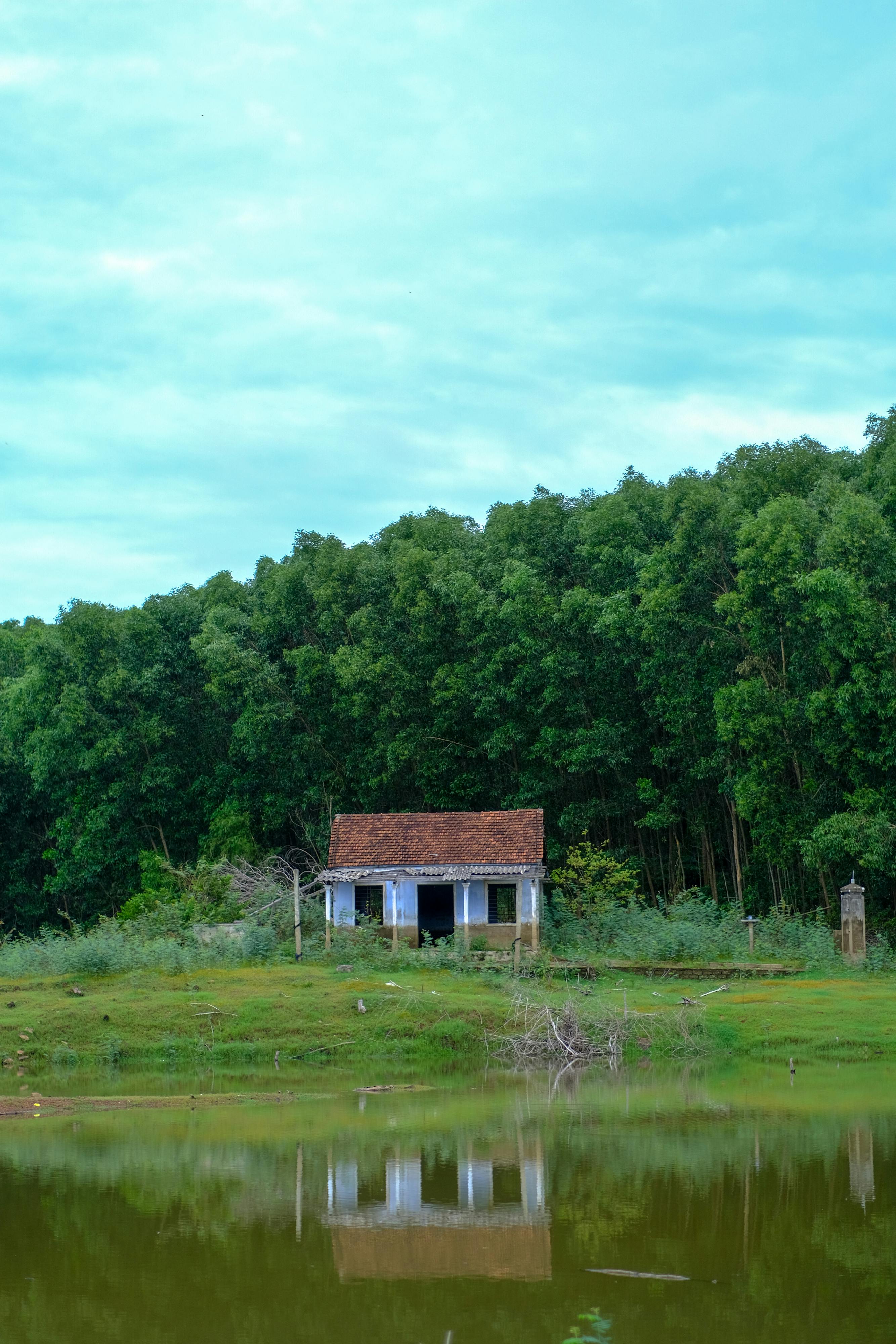Trung tâm nghiên cứu văn học, phát triển nhà văn Việt Nam