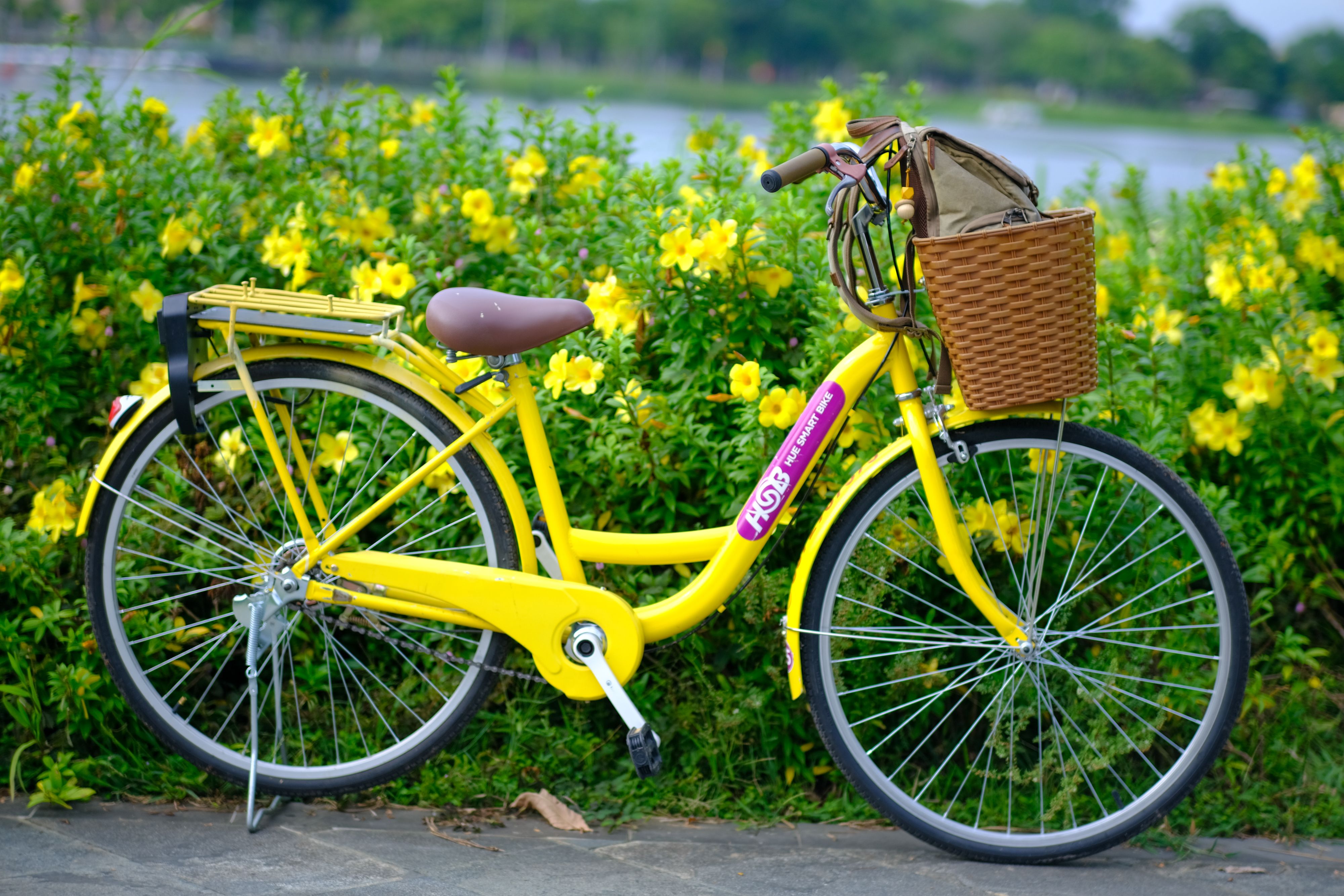 Bicicletas listas para alquiler