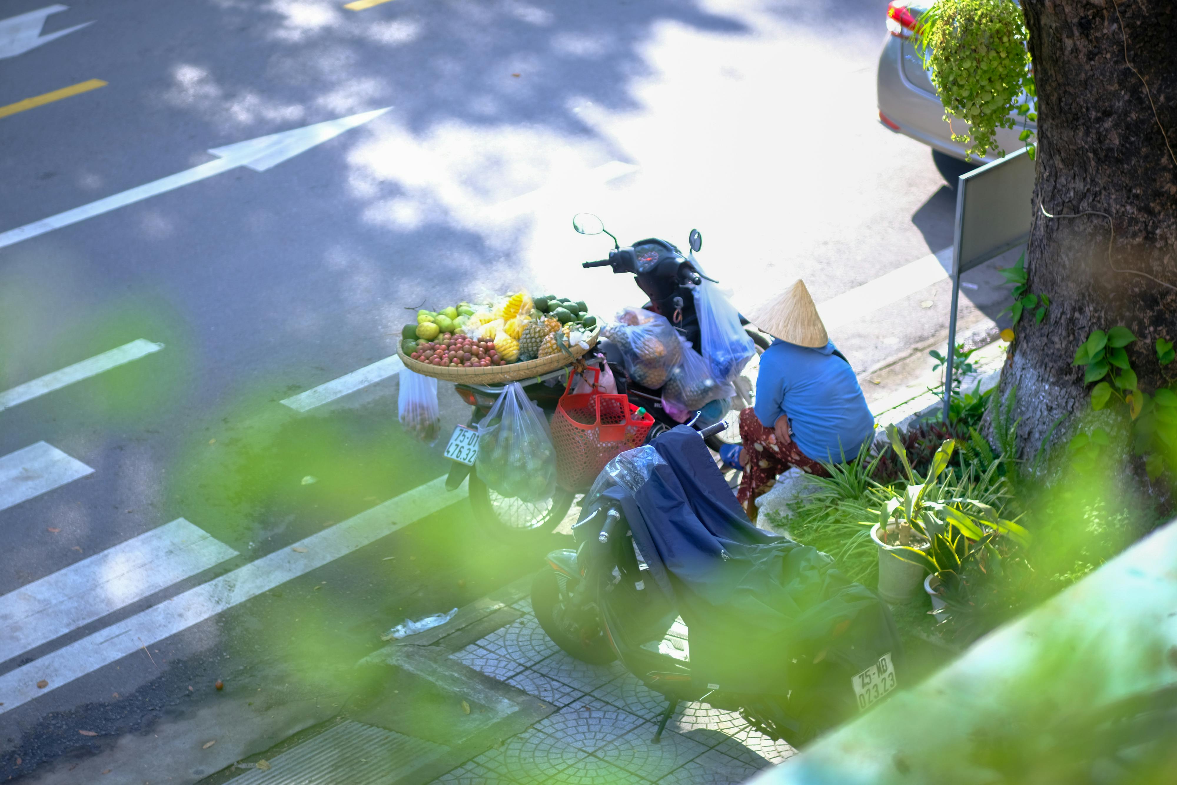 Cuộc sống không chỉ là sự sinh tồn của kẻ mạnh nhất 588 – khoa hoc, sinh hoc, sinh ton, cay coi, tien hoa, cay coi sinh ton.