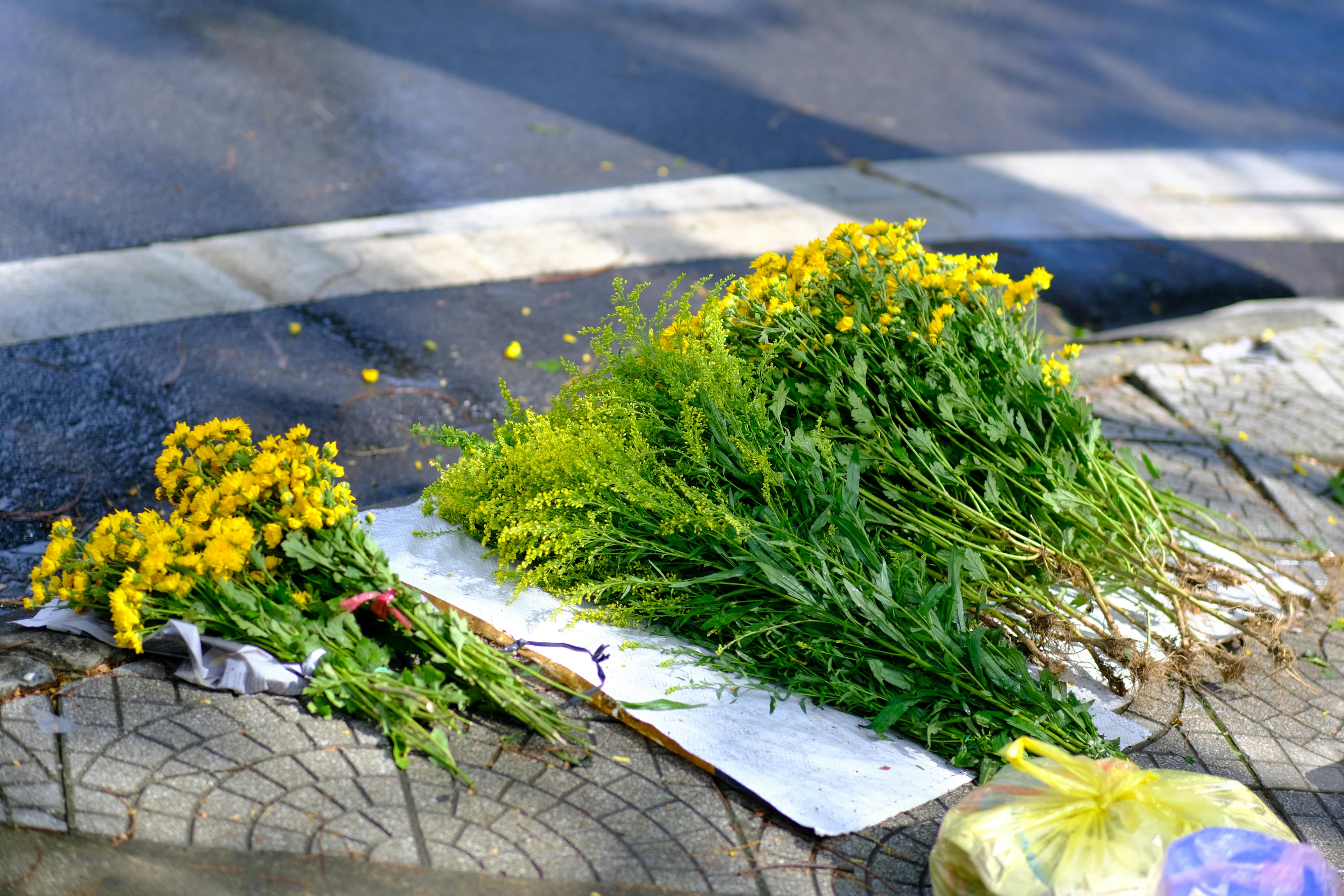 Trung tâm nghiên cứu văn học, phát triển nhà văn Việt Nam