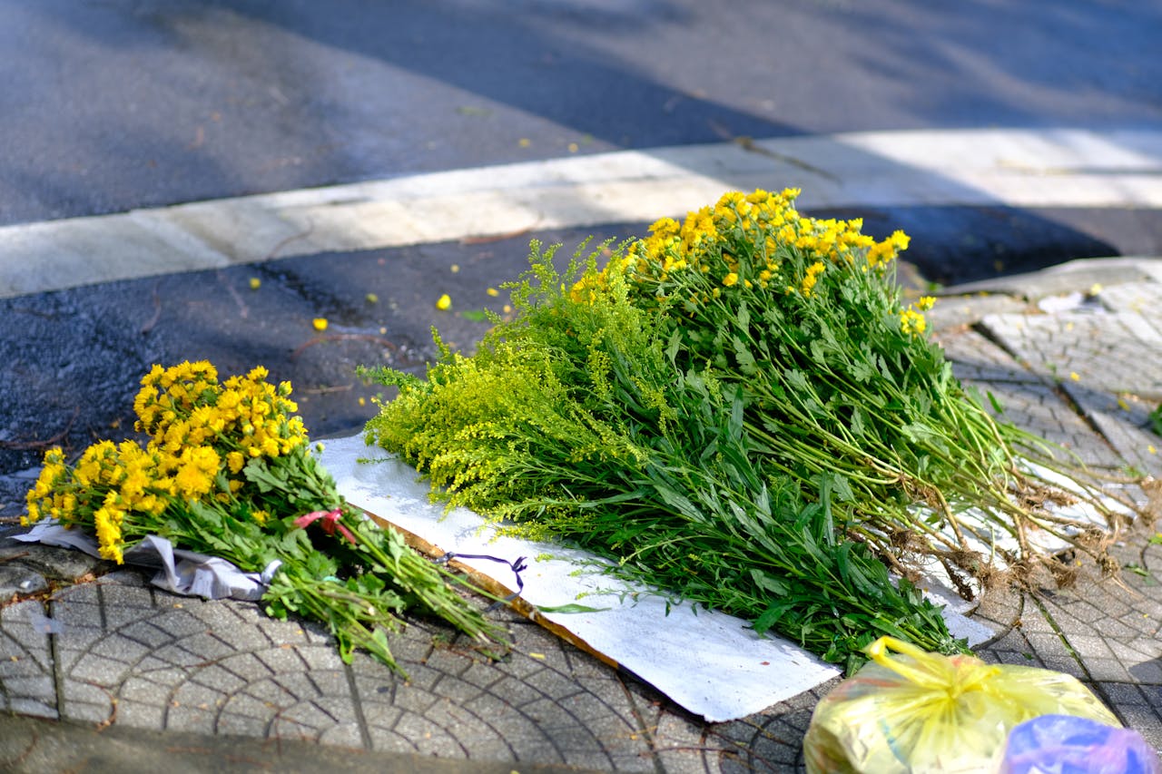 Chim lửa | Chương 13