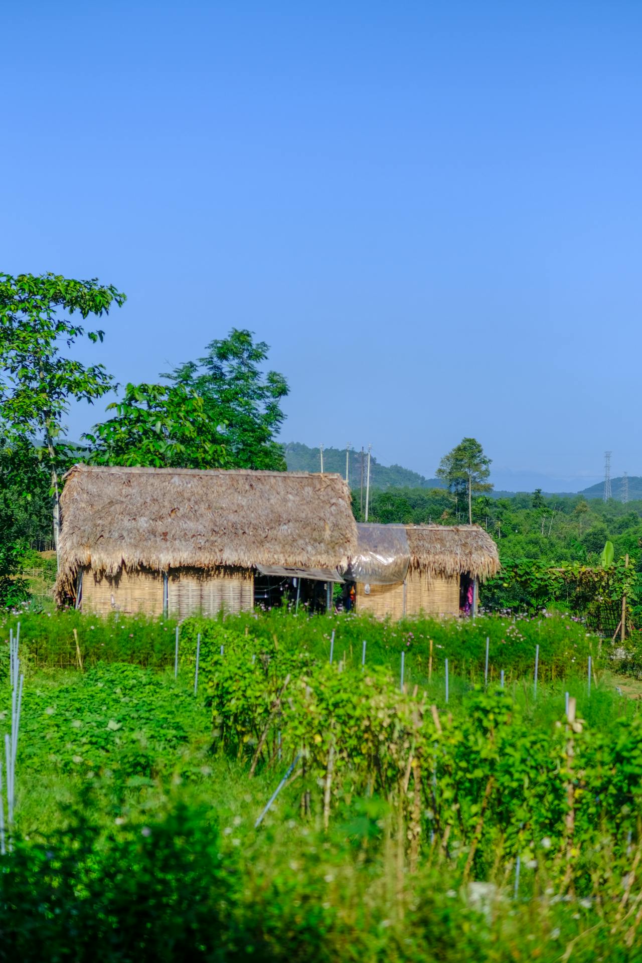 Thám tử lừng danh Conan | Chương 0015