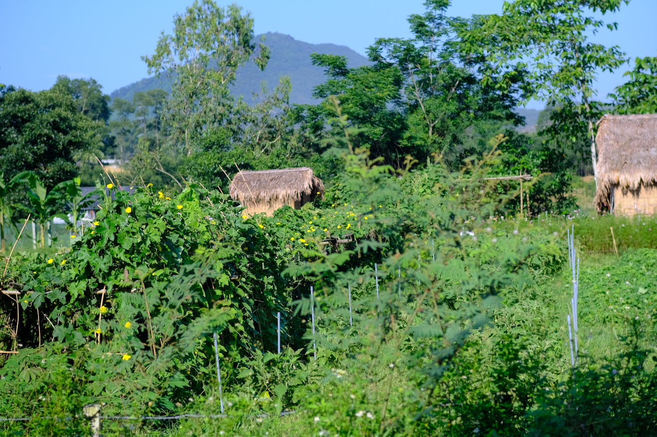Chim lửa | Chương 59