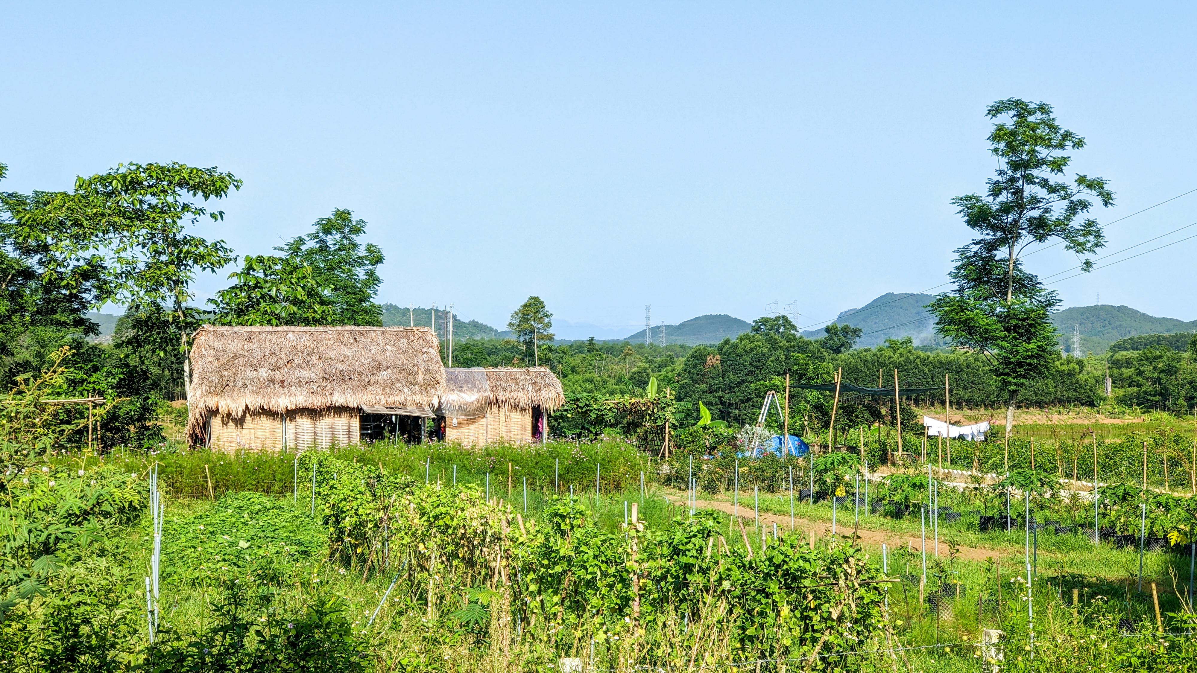 Bạch Đằng giang phú (白藤江賦) 810 – thu vien, van hoc, van hoc viet nam, ngu van lop 10, tho ca, truong han sieu, bach dang giang phu, bach dang giang, van hoc trung dai, tho, tho cap 3, tho lop 10.